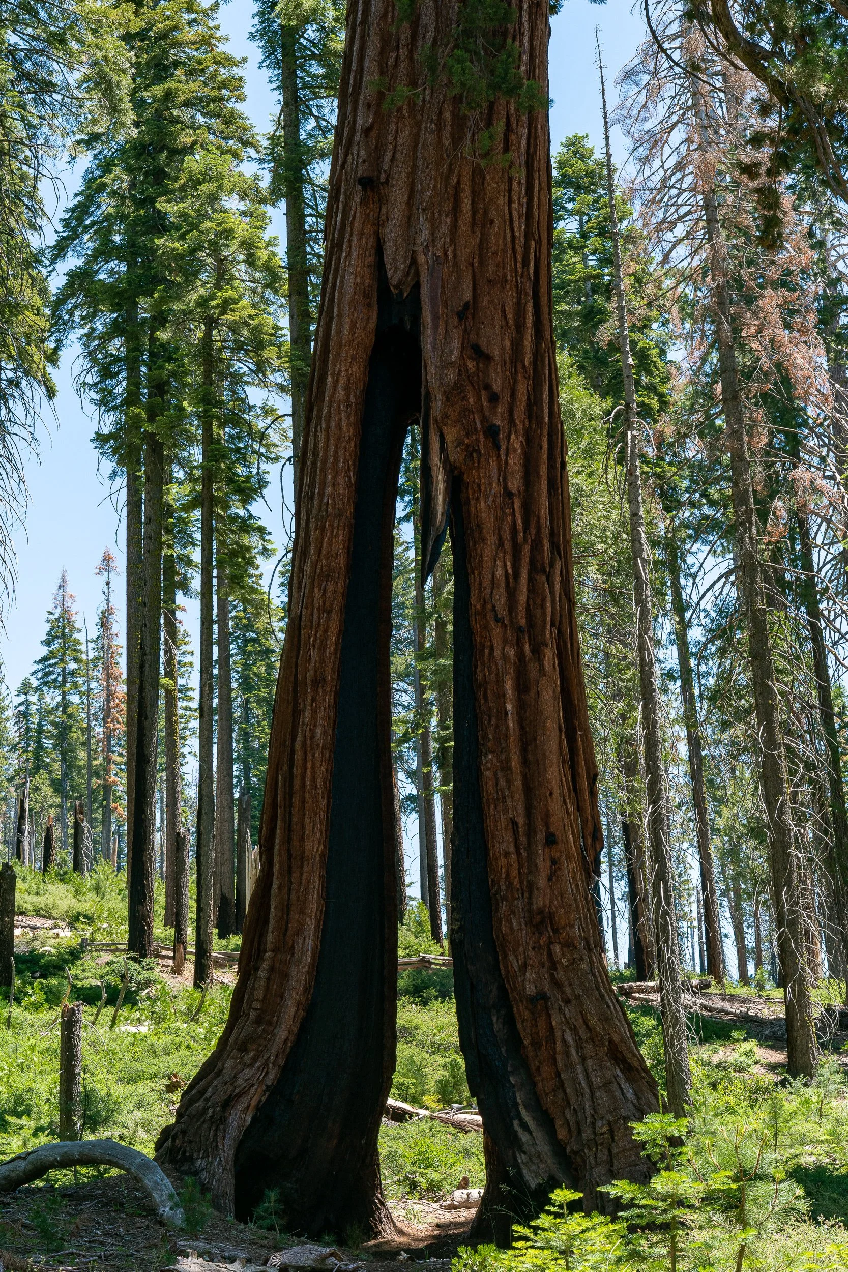 July 2022 (37 of 156).jpg