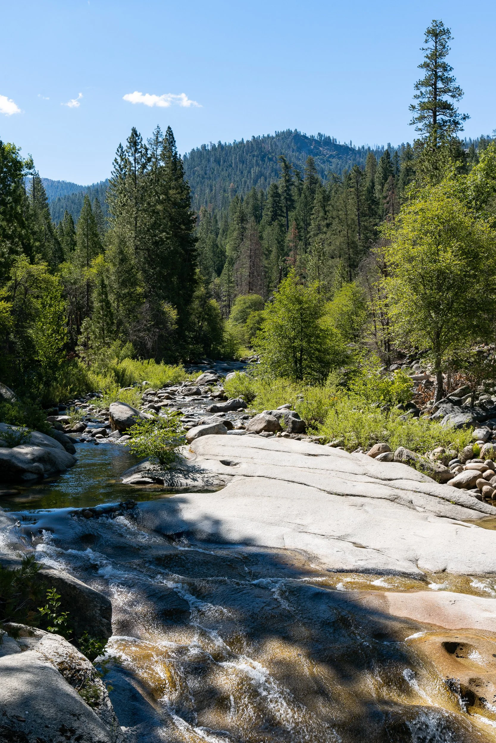 July 2022 (62 of 156).jpg