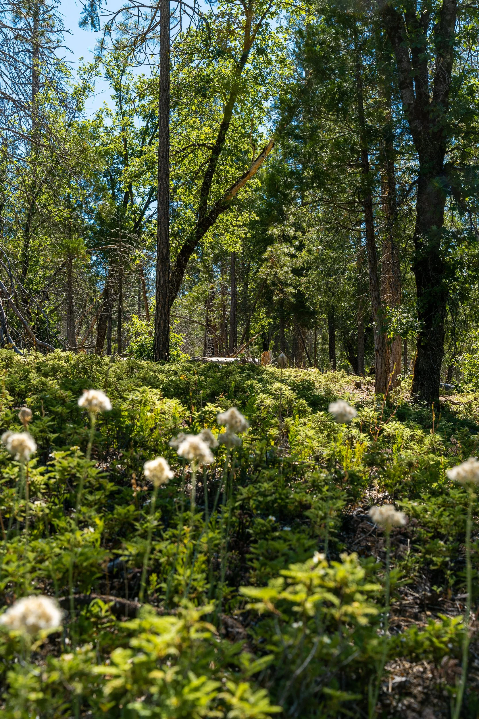 July 2022 (63 of 156).jpg