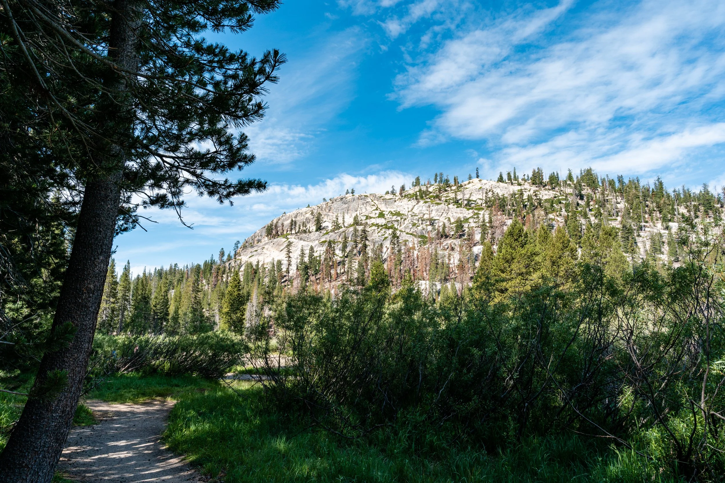 July 4th Mammoth (11 of 34).jpg