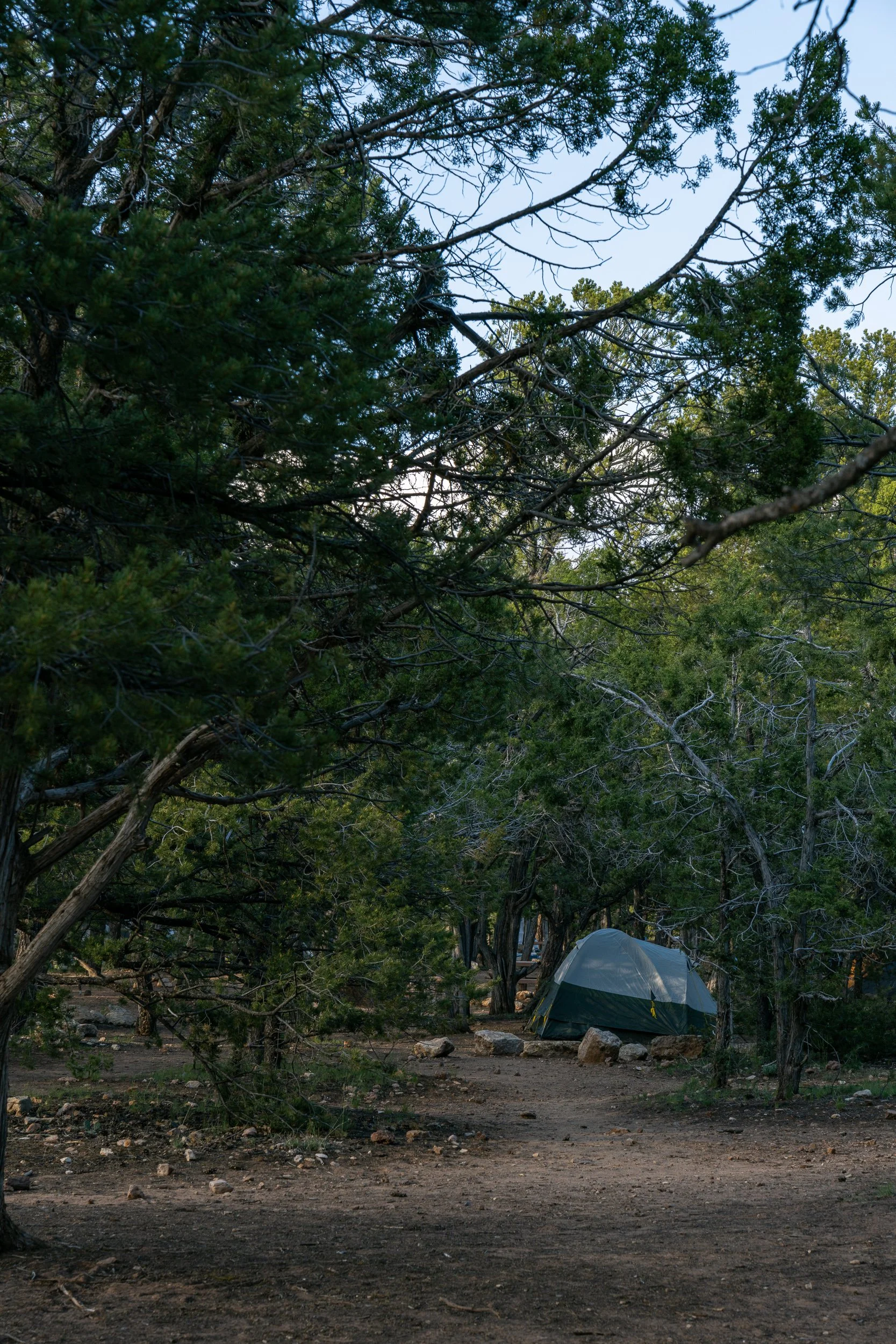 Mather Campground May 2023 (4 of 8).jpg