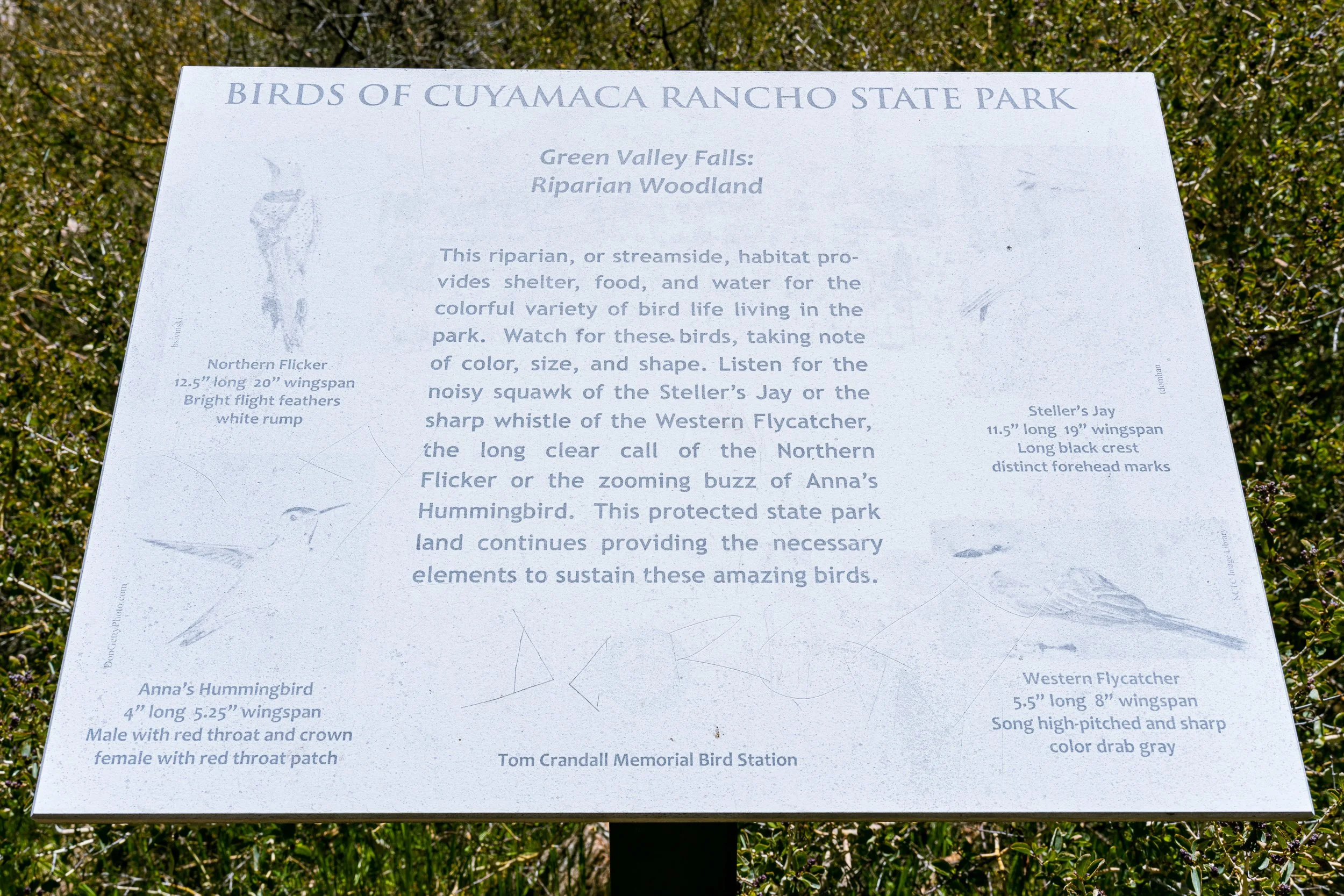 Green Valley Falls and Arroyo Secco Loop (24 of 26).jpg