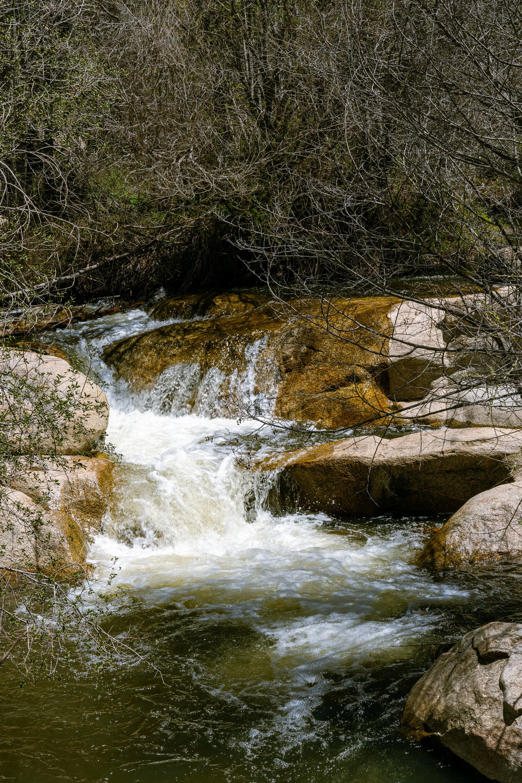 Green Valley Falls and Arroyo Secco Loop (26 of 26).jpg