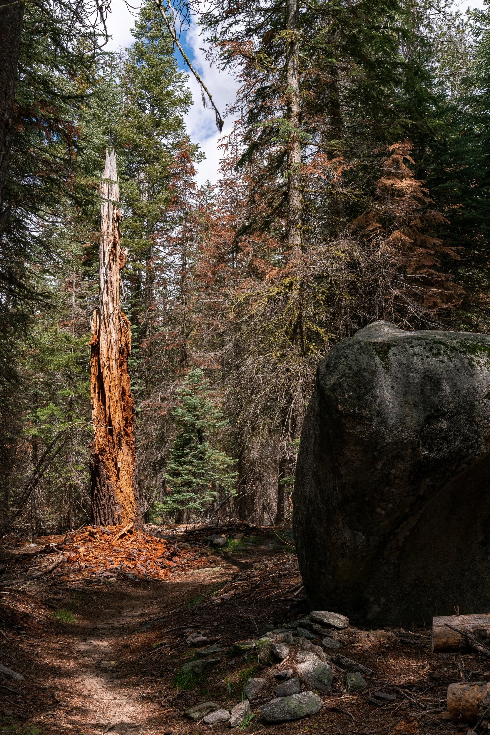 Sequoia and Kings Canyon Aug 2023 (12 of 52).jpg