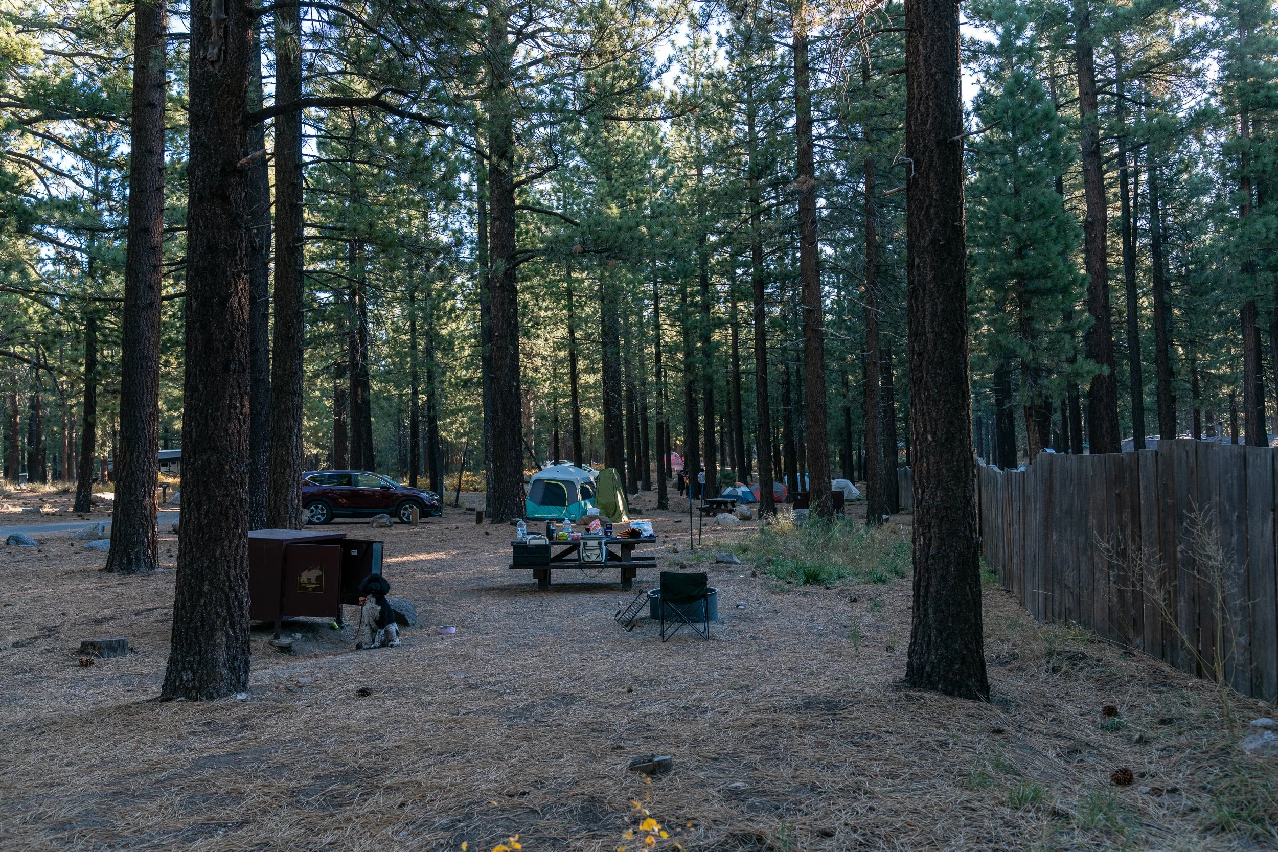 Old Shady Rest Campground Oct 2023 (2 of 8).jpg