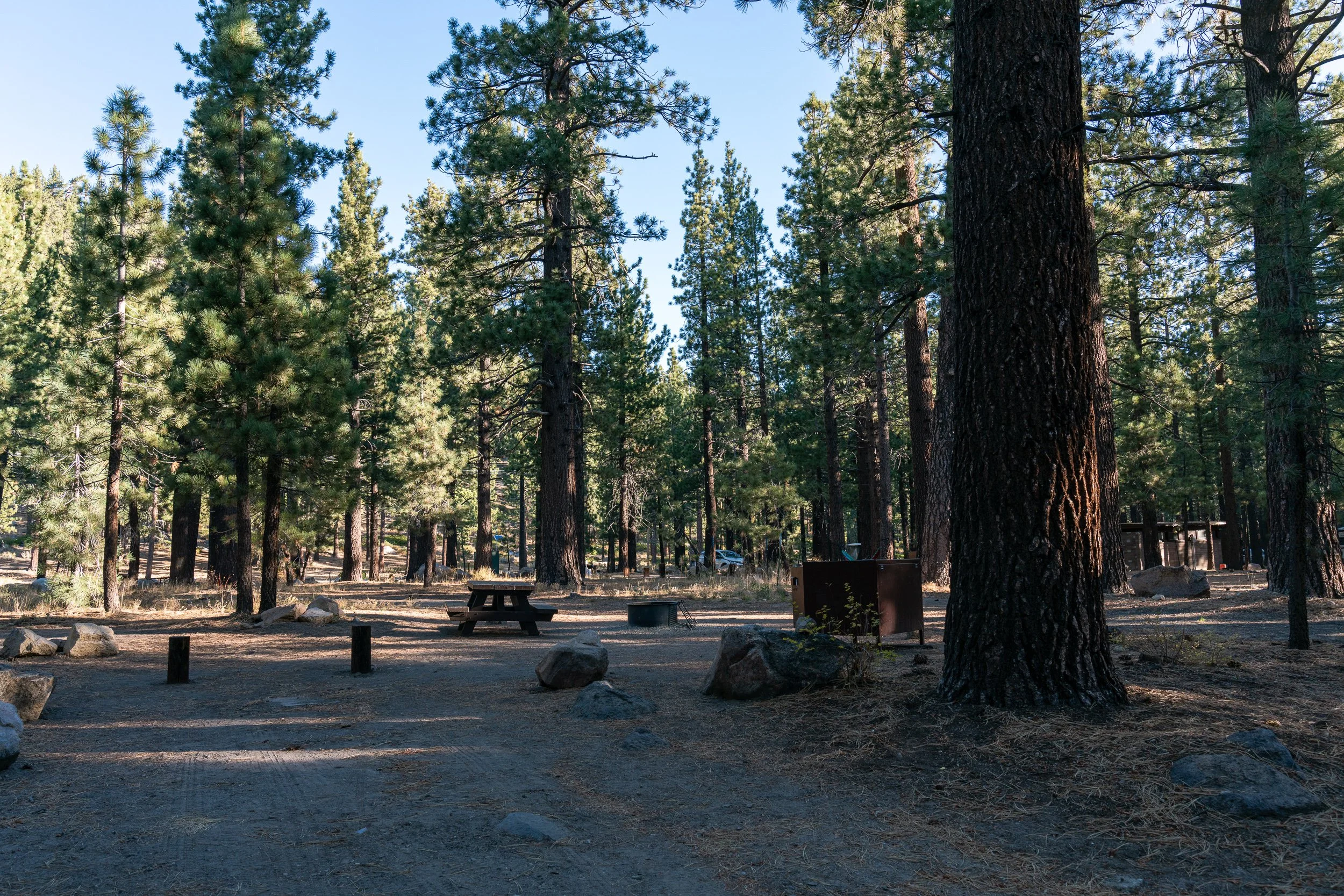 Old Shady Rest Campground Oct 2023 (4 of 8).jpg