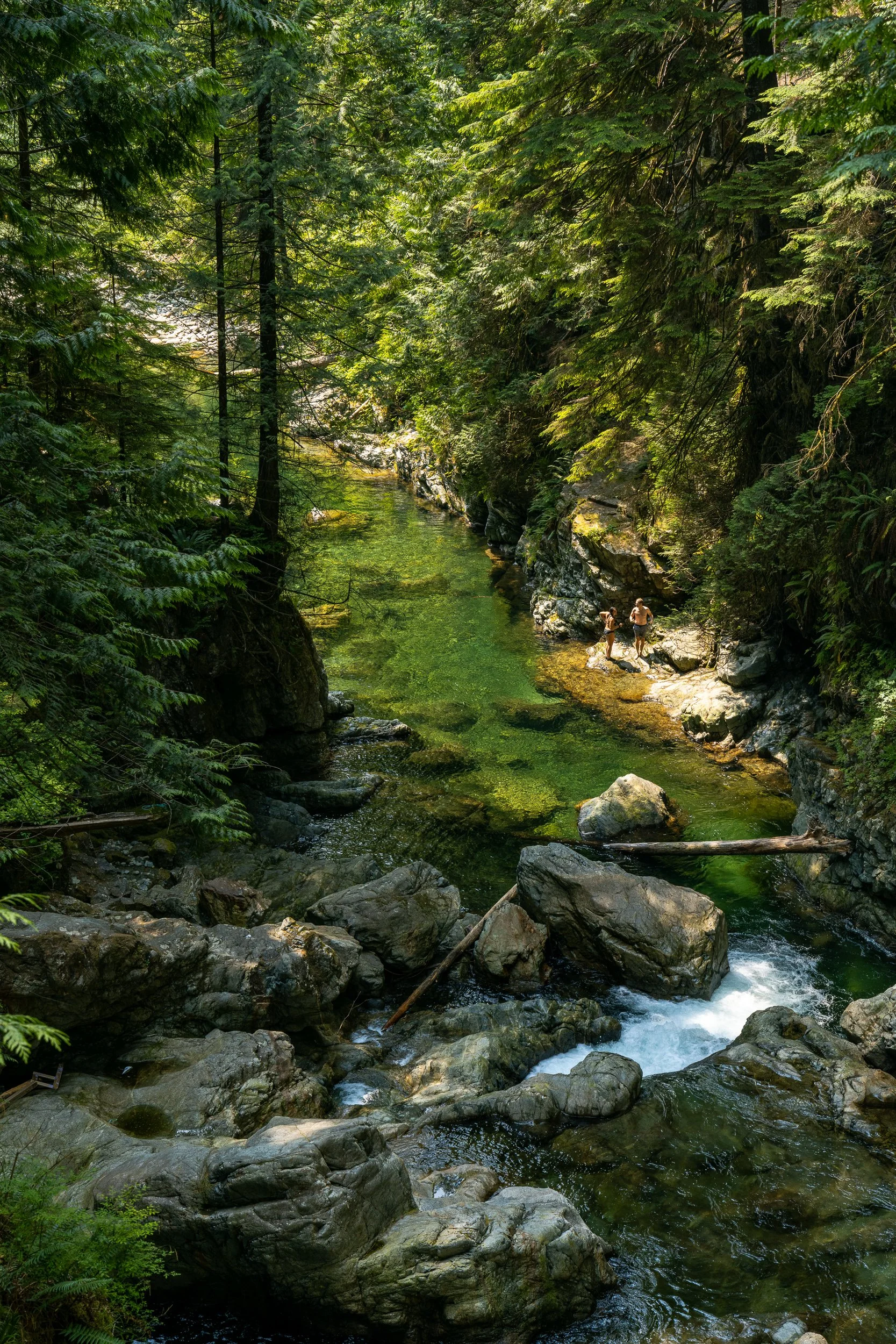 Lynn Canyon July 2023 (10 of 17).jpg