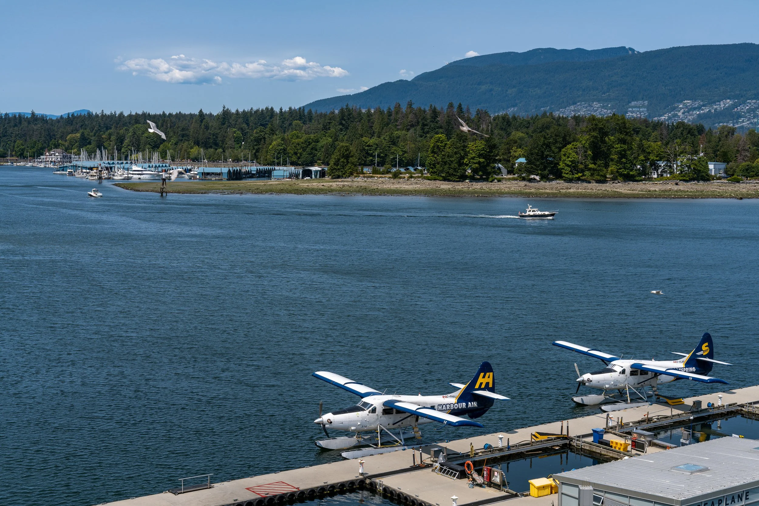 Vancouver July 2023 (4 of 7).jpg