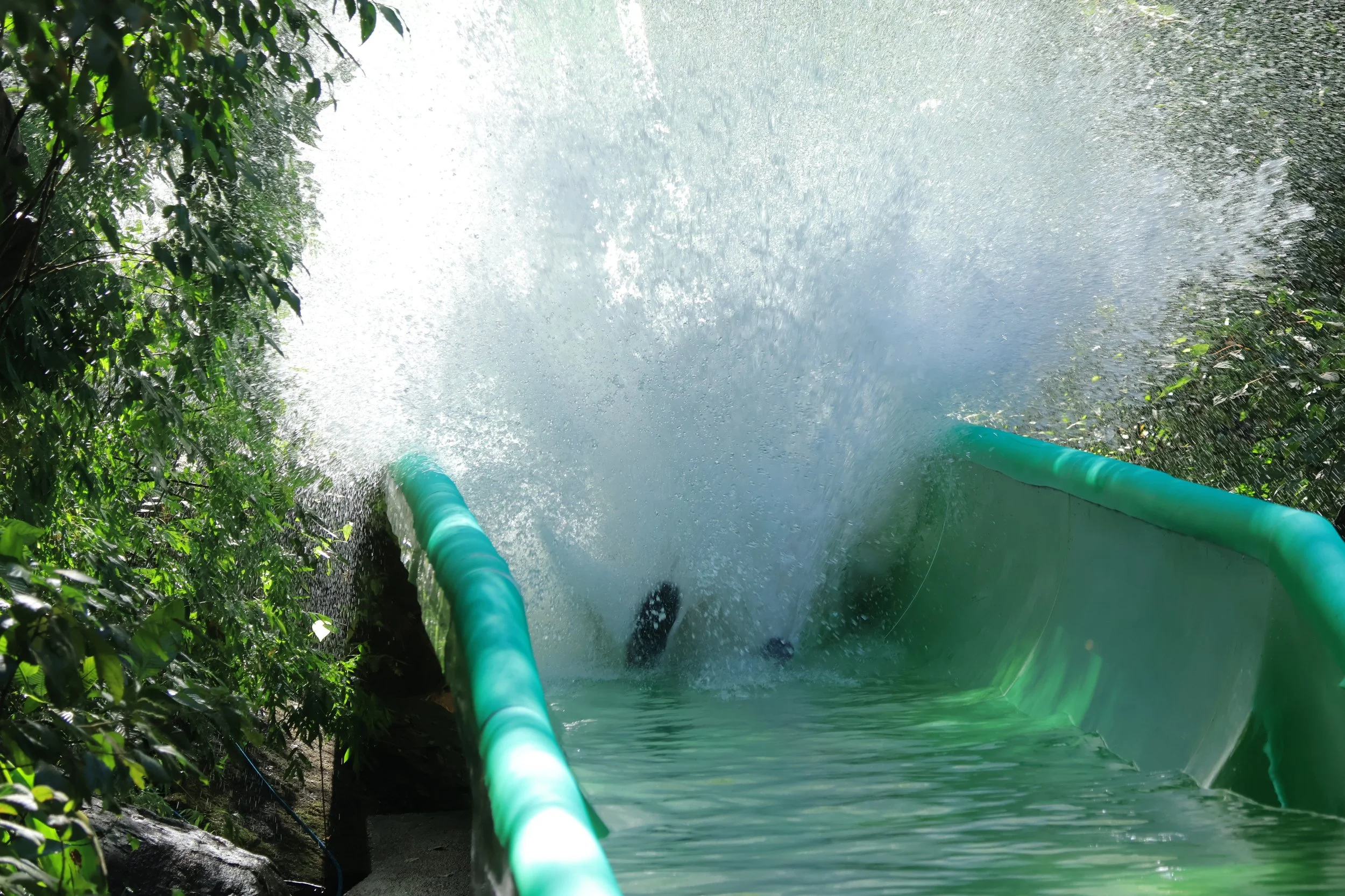 B RONALD RAMIREZ (150).JPG