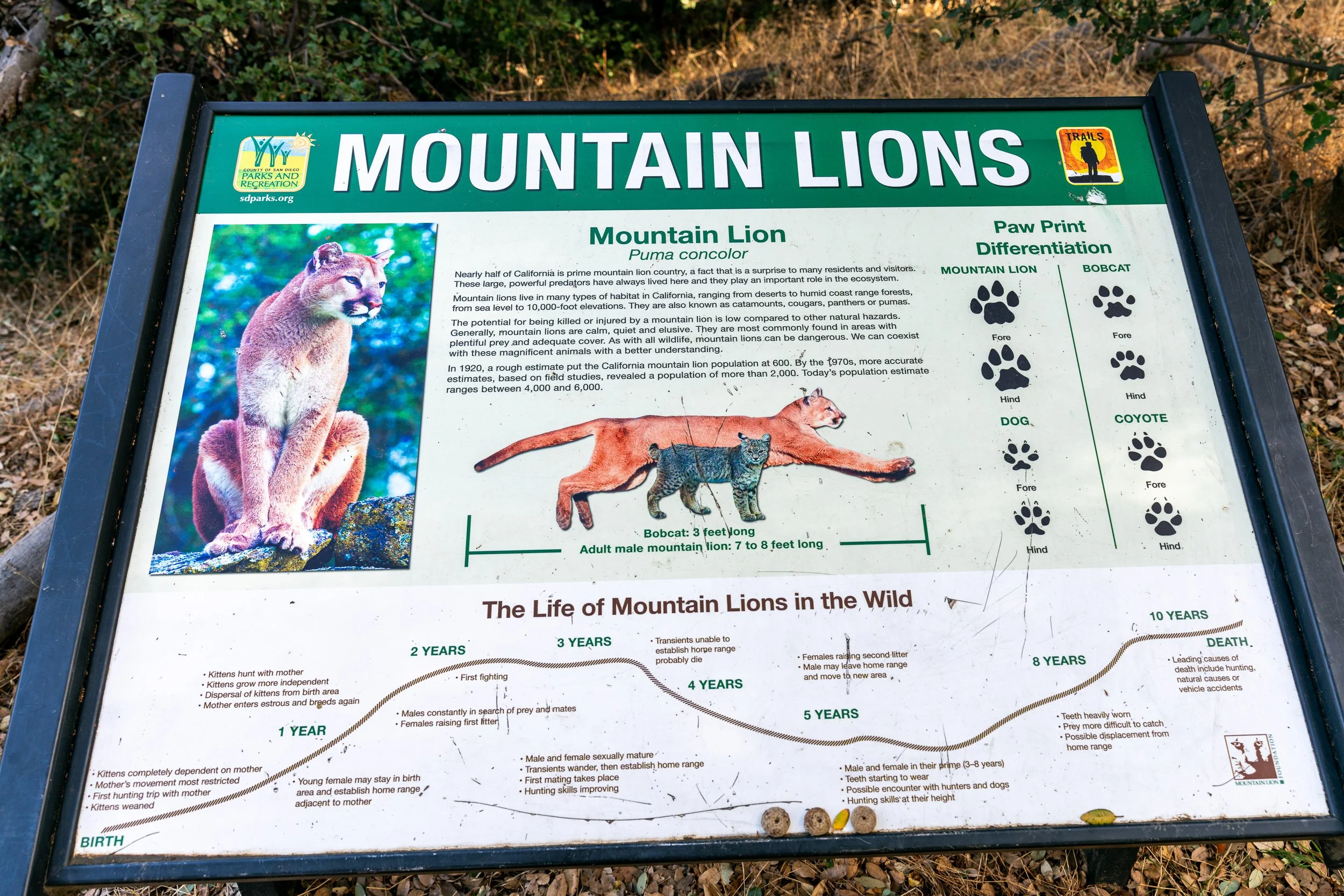 Volcan Mountain Via Five Peaks Trail Dec 2024 (4 of 30).jpg