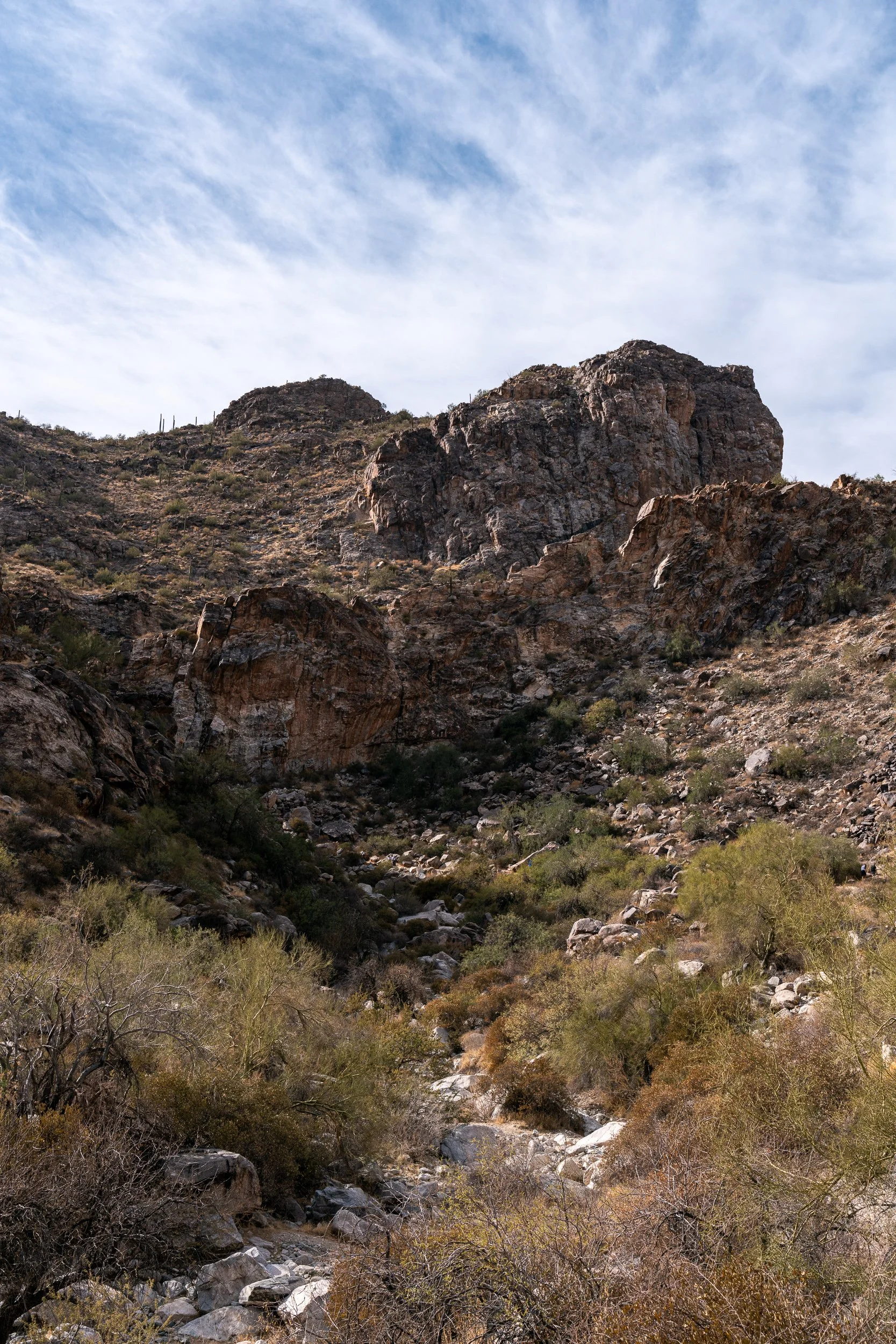 White Tank Waterfall Trail Dec 2024 (12 of 18).jpg