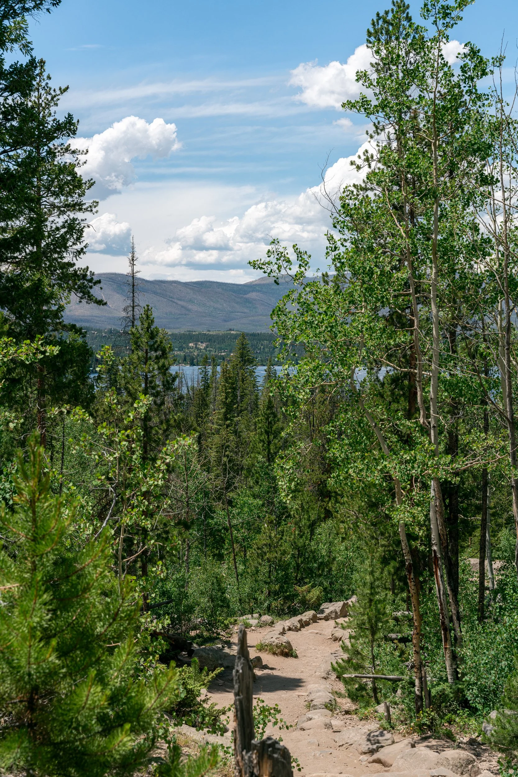 Adams Falls July 2025 (7 of 10).jpg