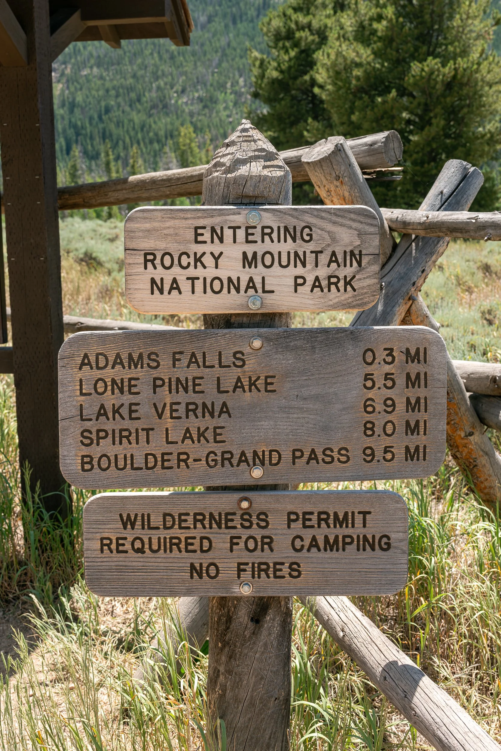 Adams Falls July 2025 (10 of 10).jpg
