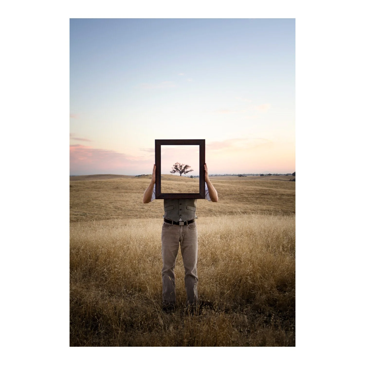 The Tree Samples.jpg