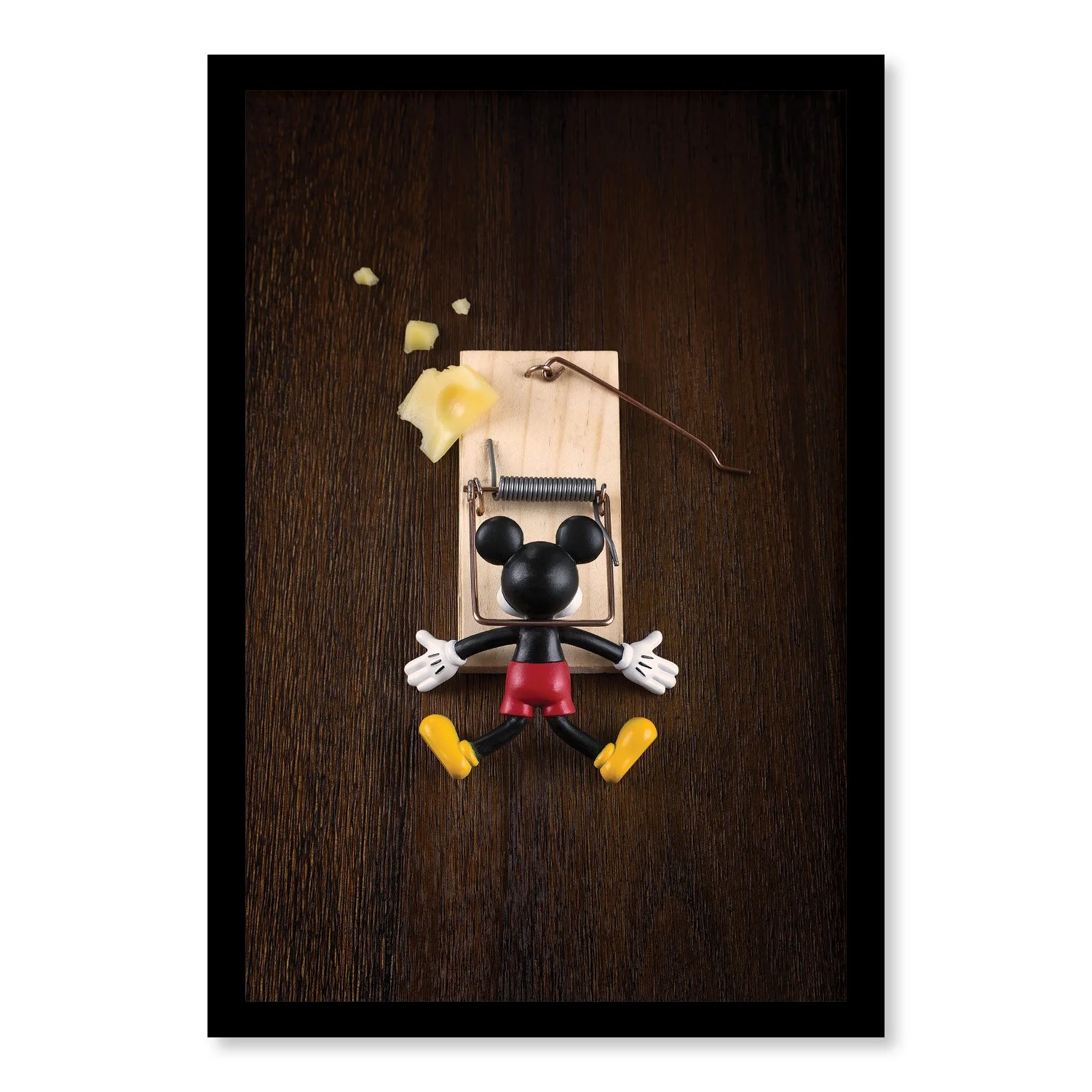 The Mouse Samples2.jpg