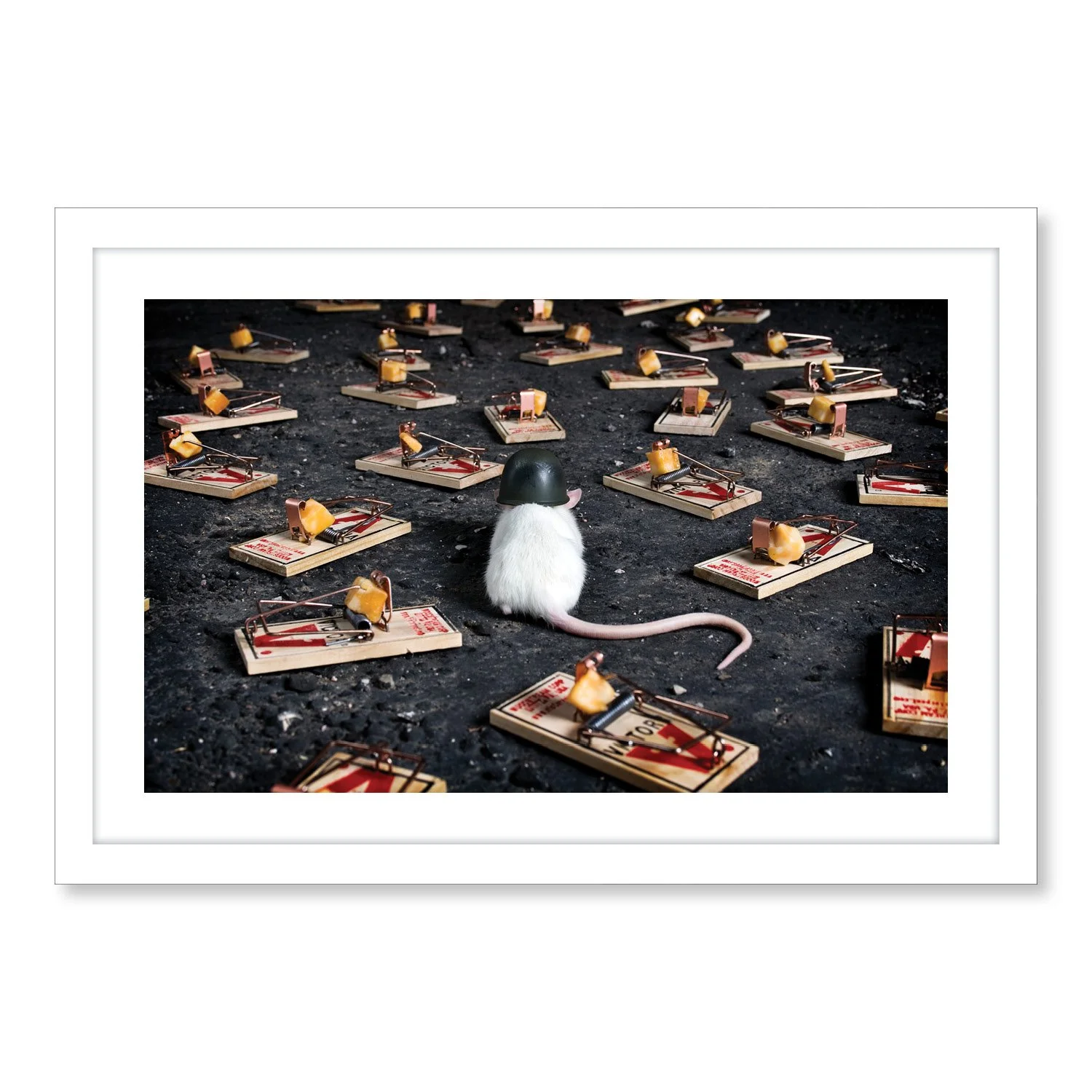 The Rat Samples5.jpg