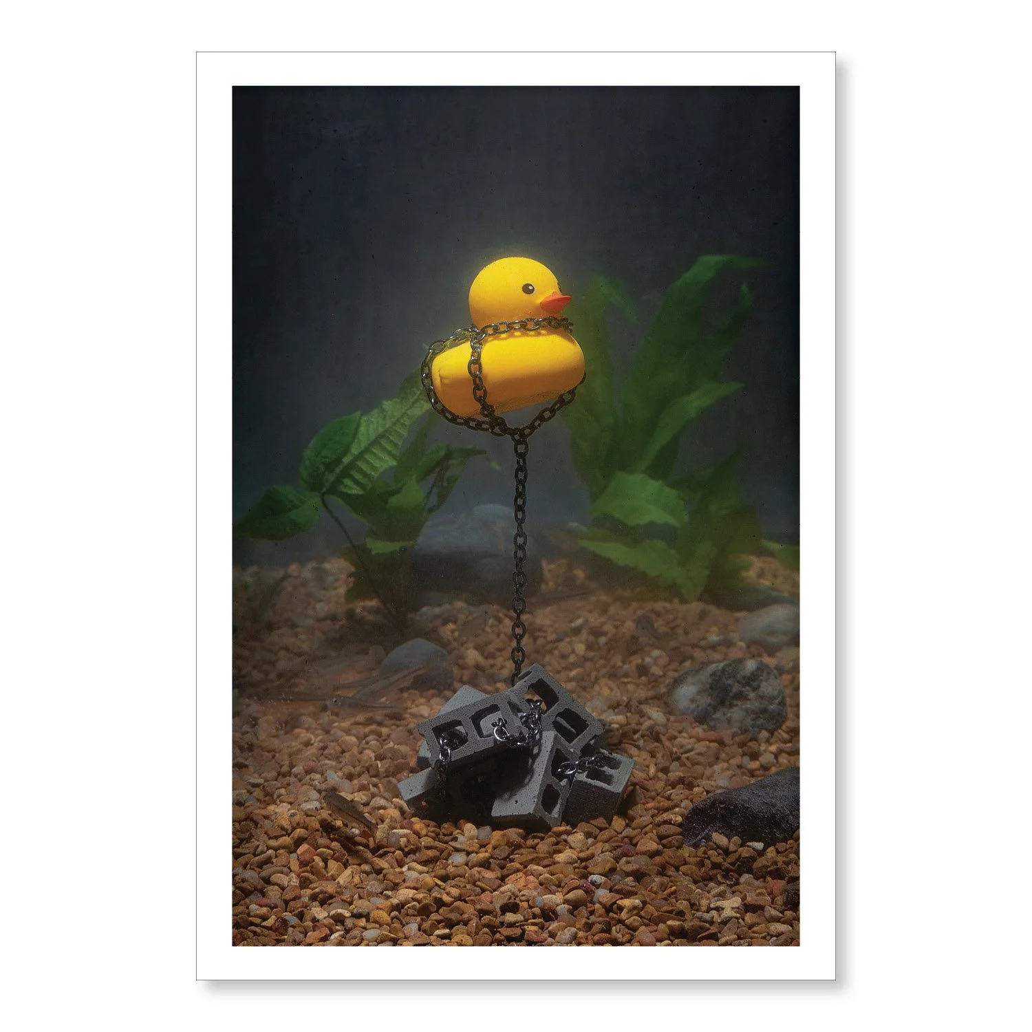 The Duck Samples3.jpg