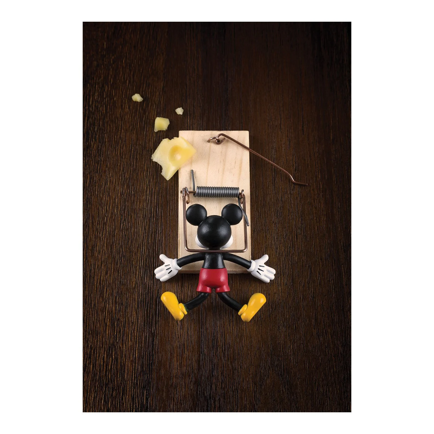 The Mouse Samples.jpg