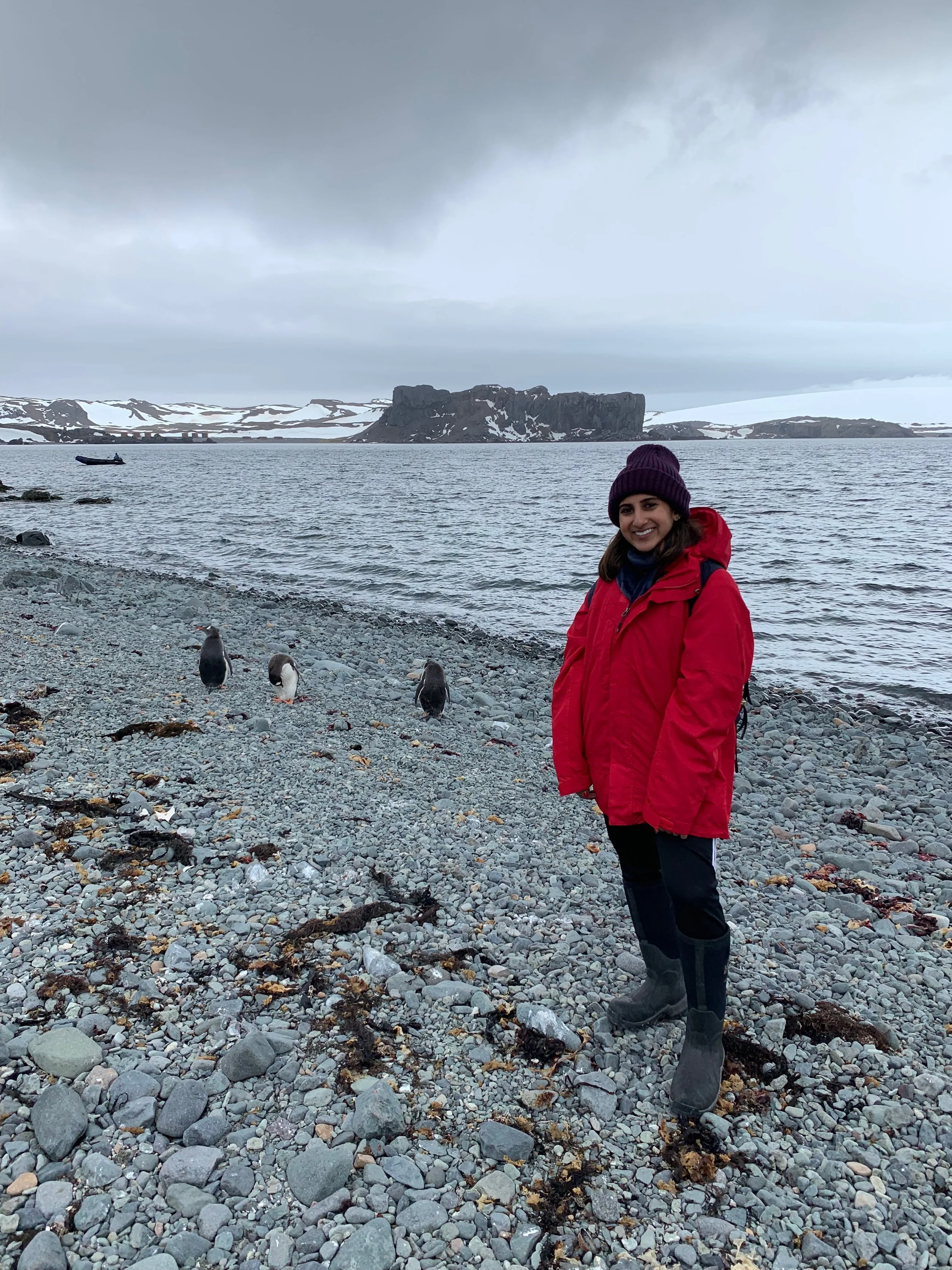 Go-to fun fact - I've been to Antarctica (Copy)