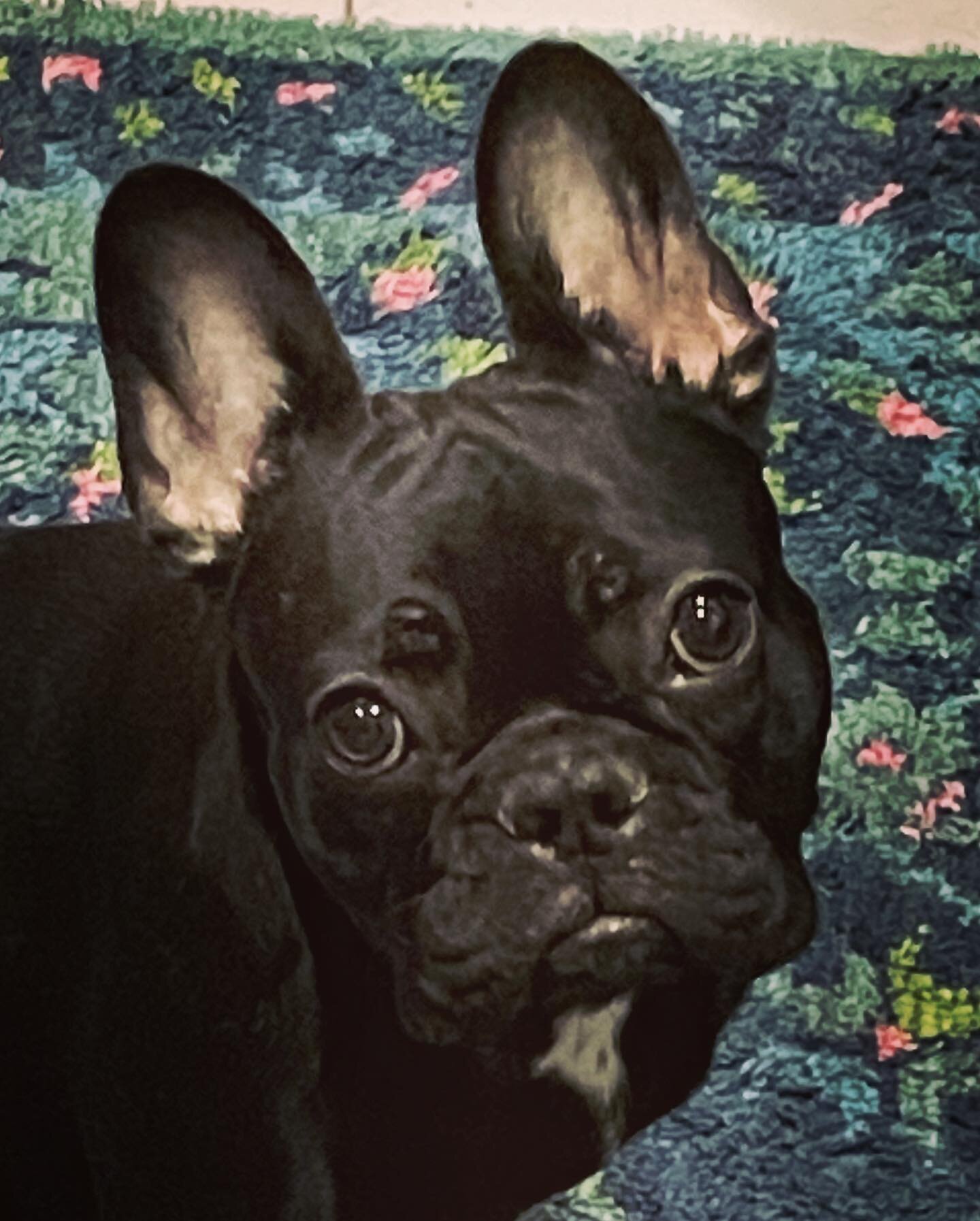 this nonsense baby turned one year old today and I’m not crying you’re crying.