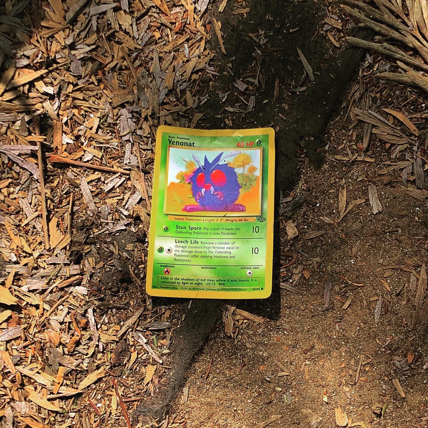 GASP! A wild Venonat! I knew I shouldn’t have gone to Walgreens w/o a pokéball. NEVER AGAIN!