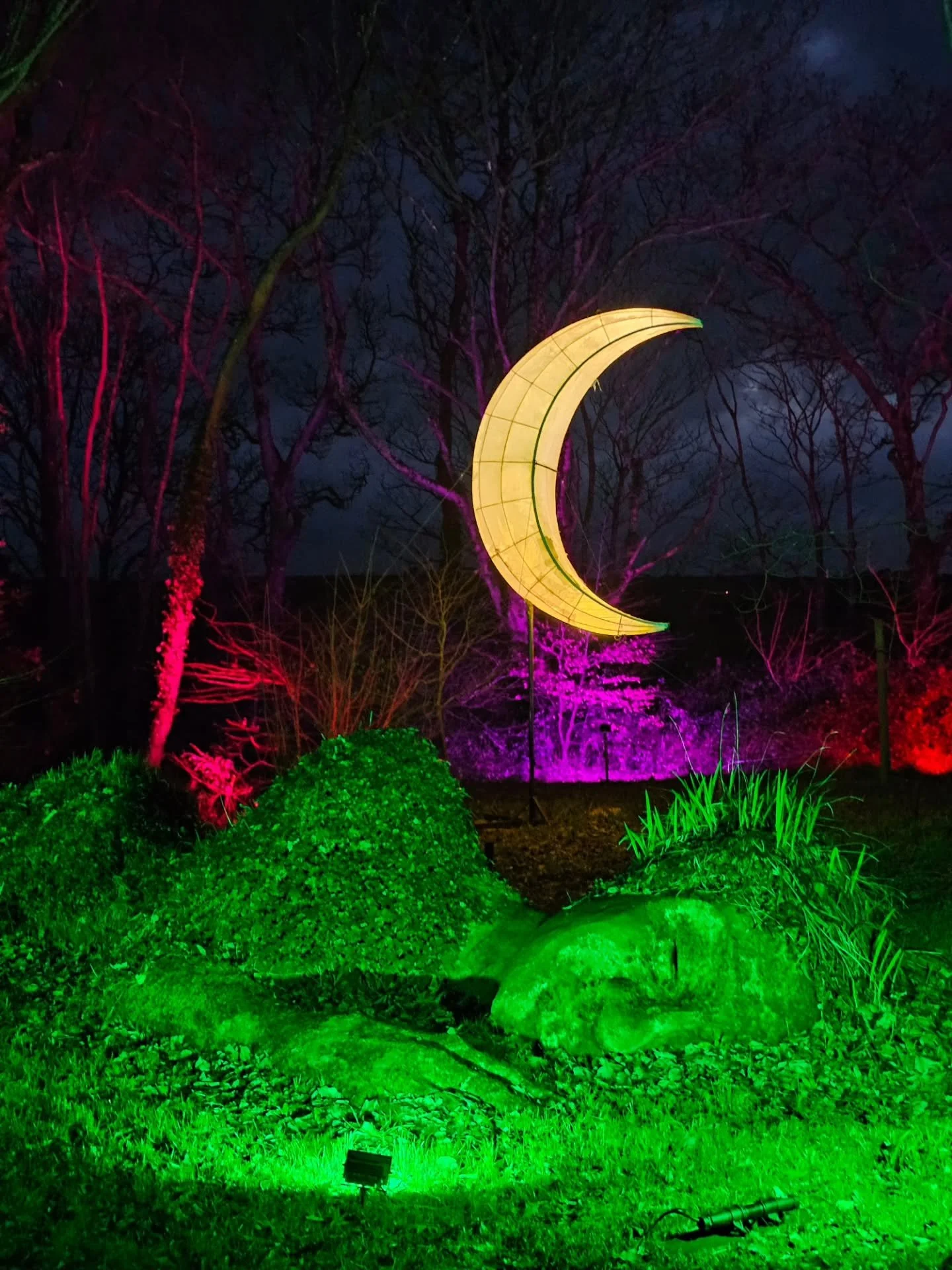 All of the lights at @heligangardens this year 🎅