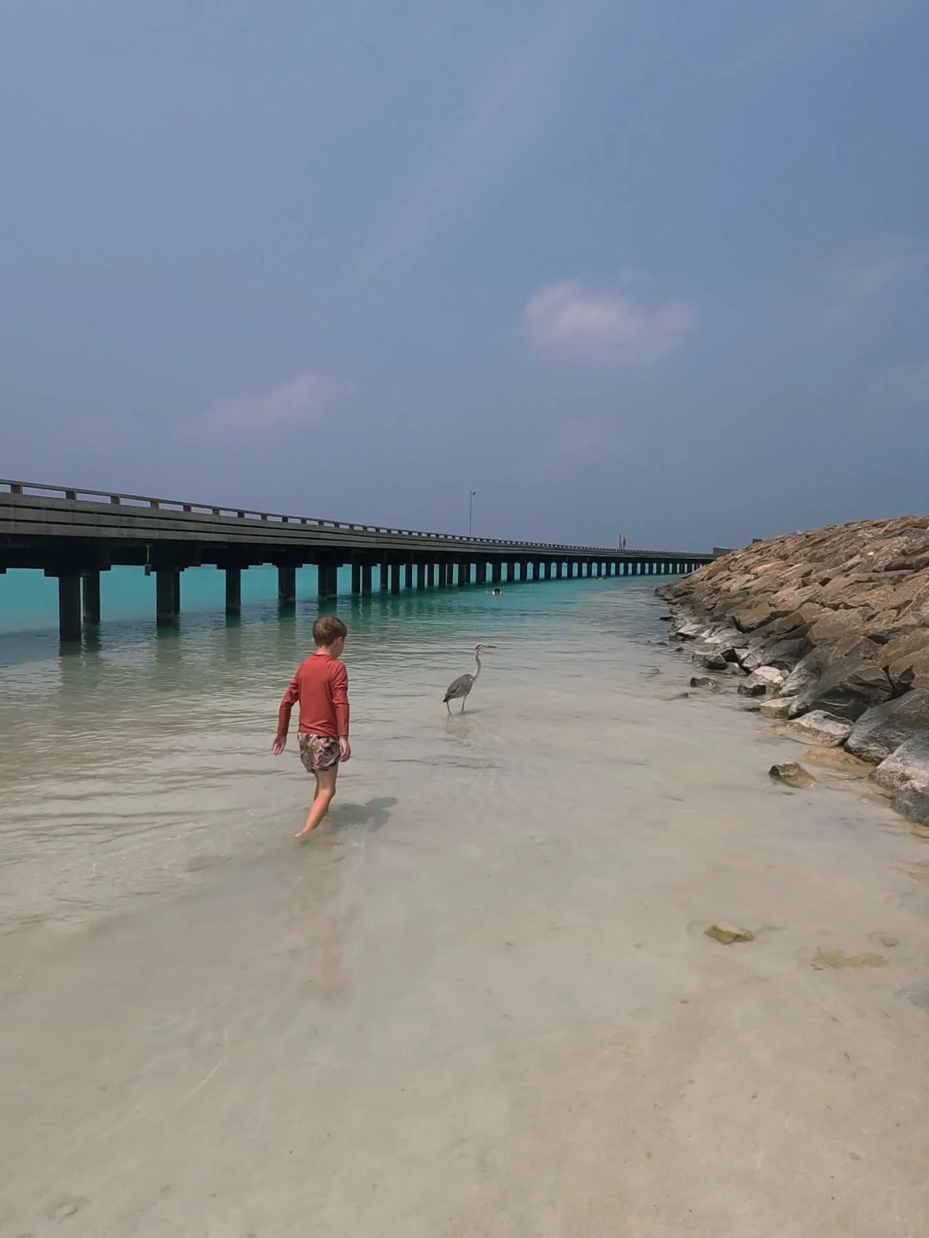 Desperately trying to make friends with the wildlife...

🇲🇻 🐦 🌞