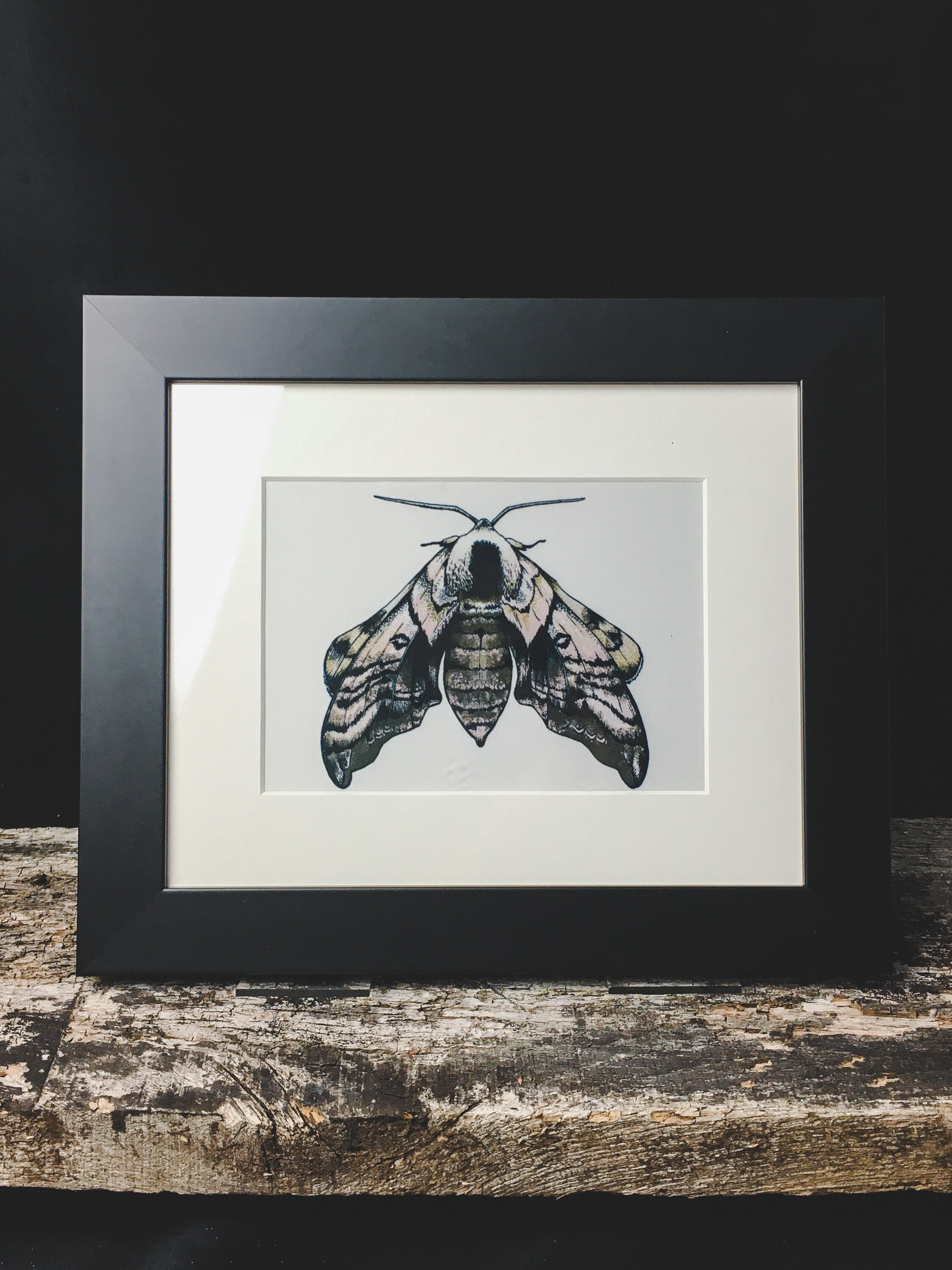 Moth Framed Fabric Print