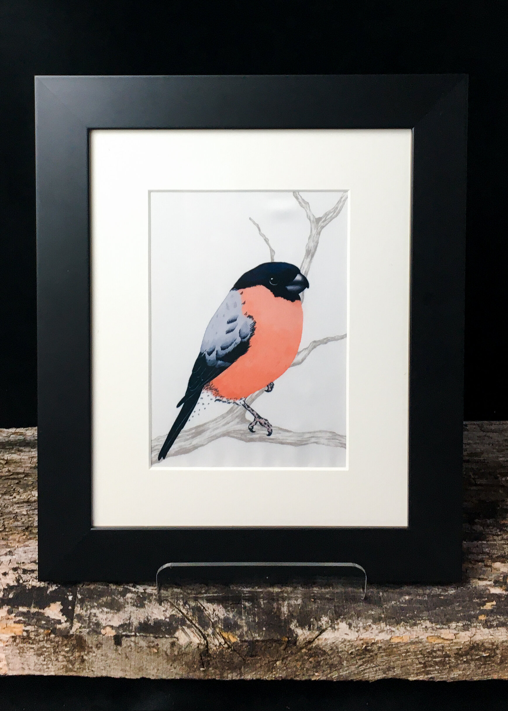Bullfinch Framed Fabric Print