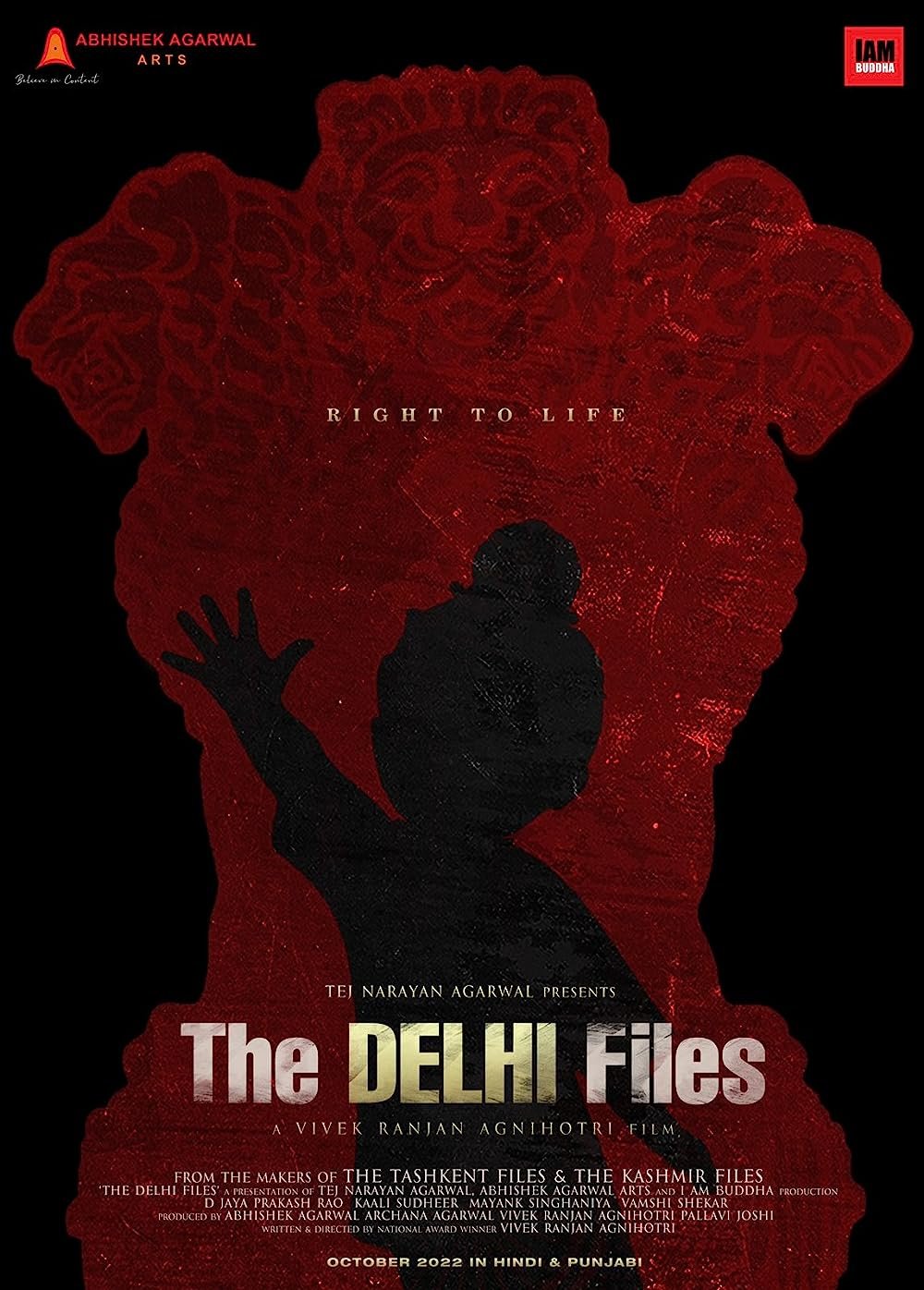 delhi files.jpg