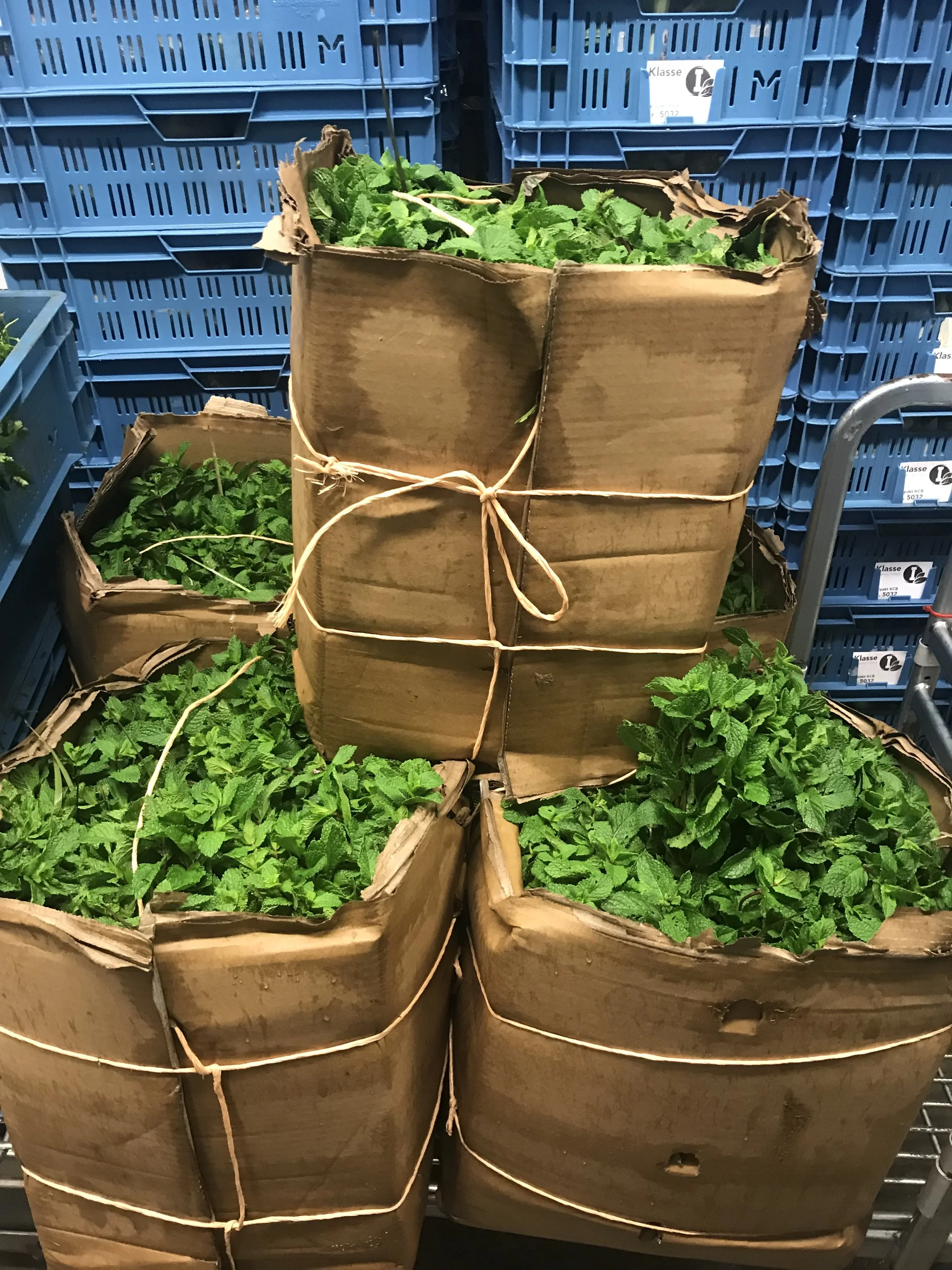 LA MESA DE JAJA #3 | Una Fiesta!