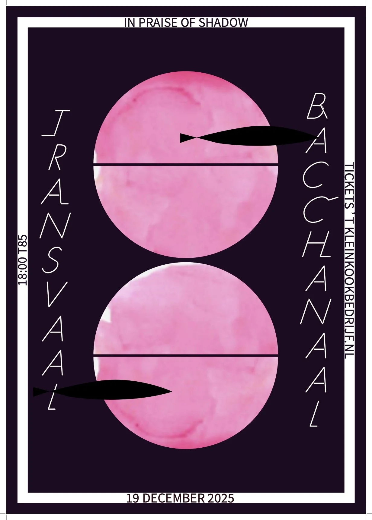 Transvaal Bacchanaal 8 | In Praise of Shadow