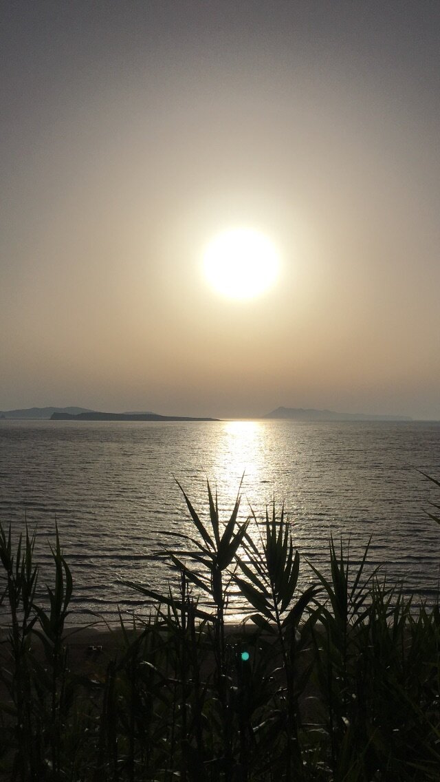 IMG_2140.jpeg