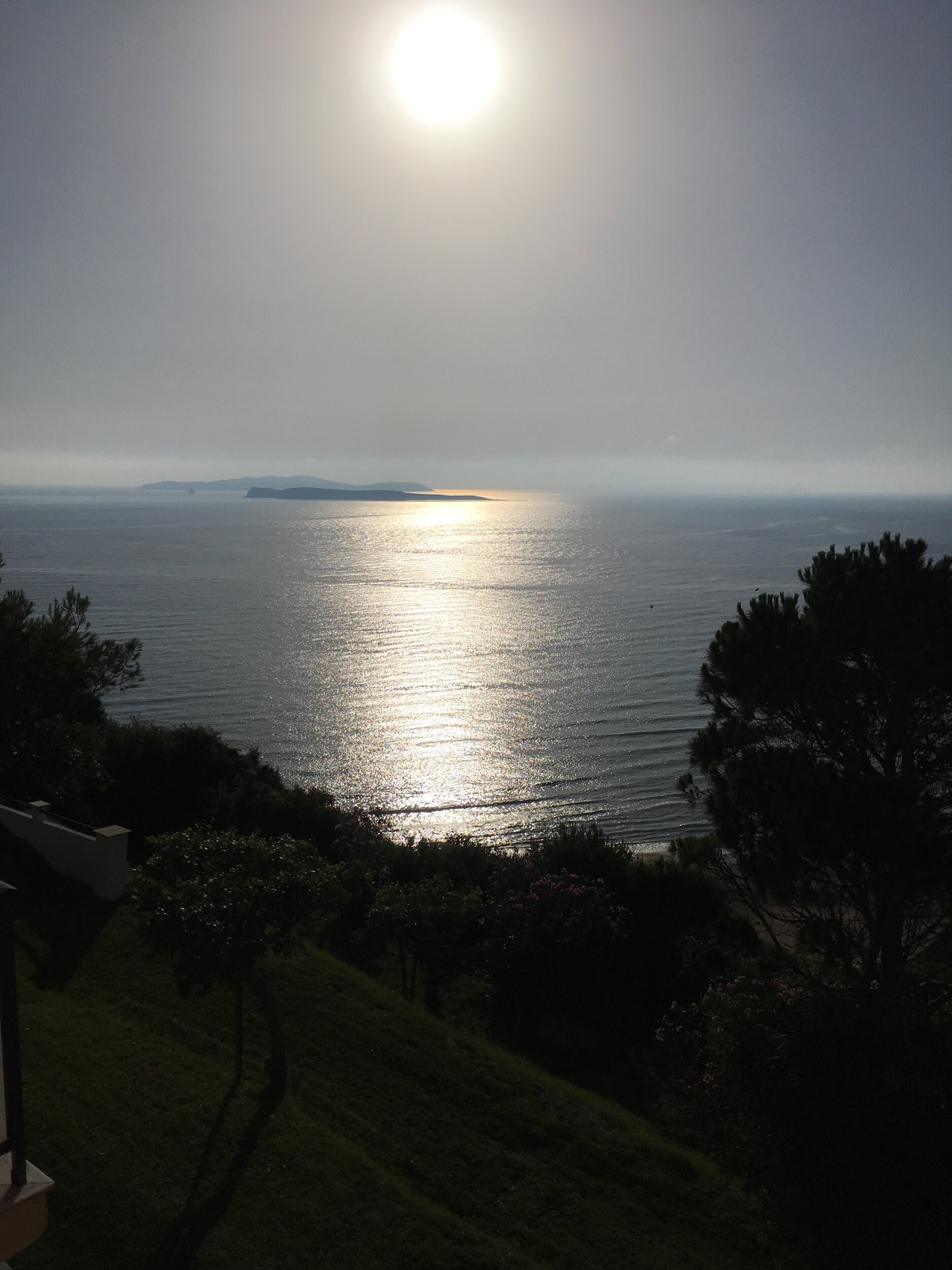 IMG_2081.jpeg