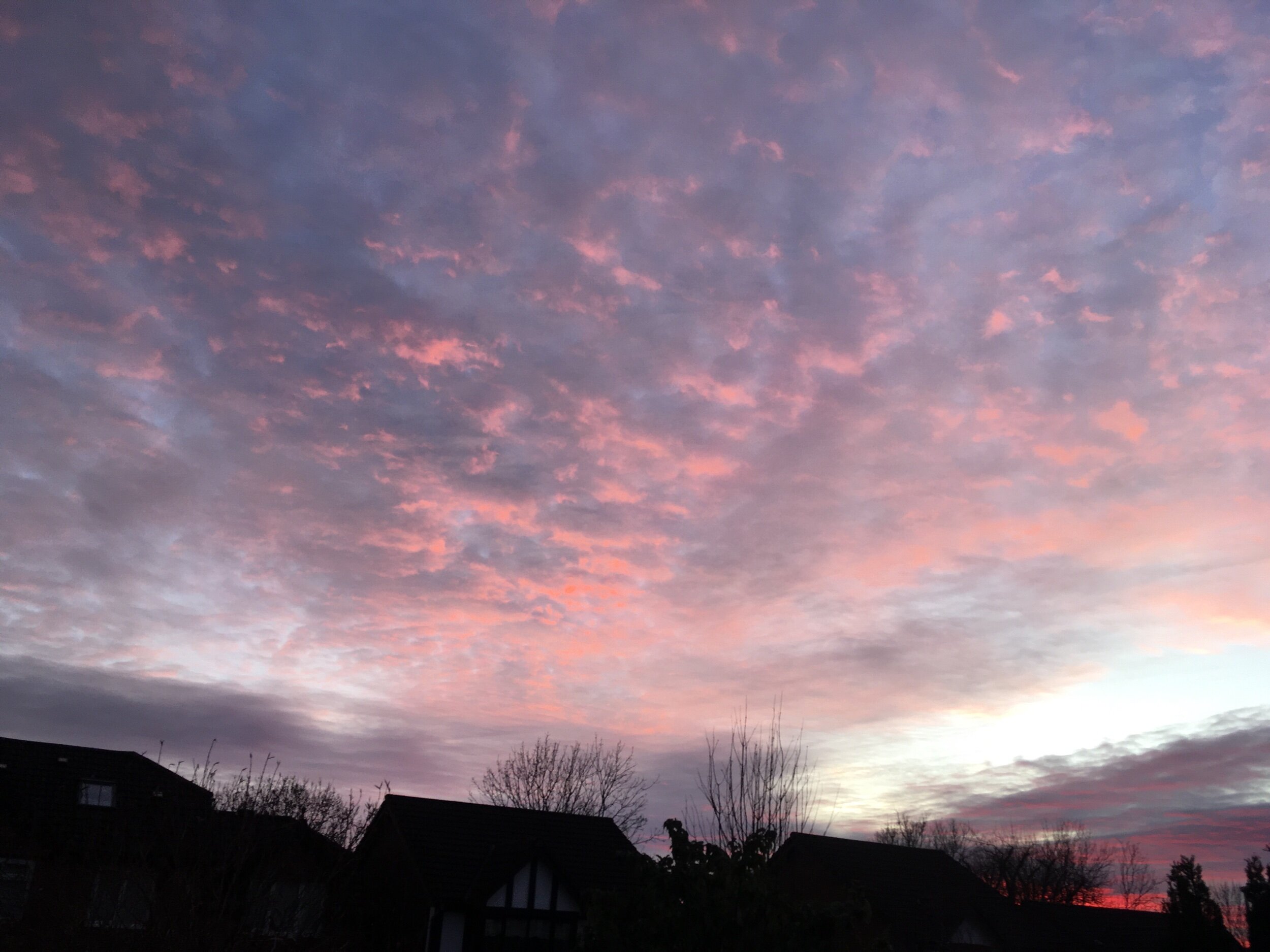 IMG_3854.jpeg