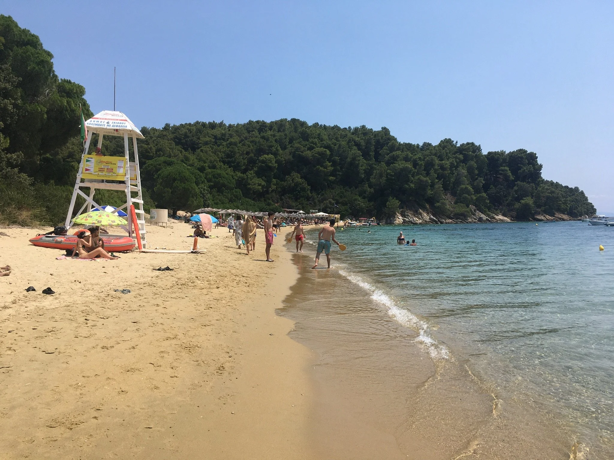 The Swans Of Vromolimnos