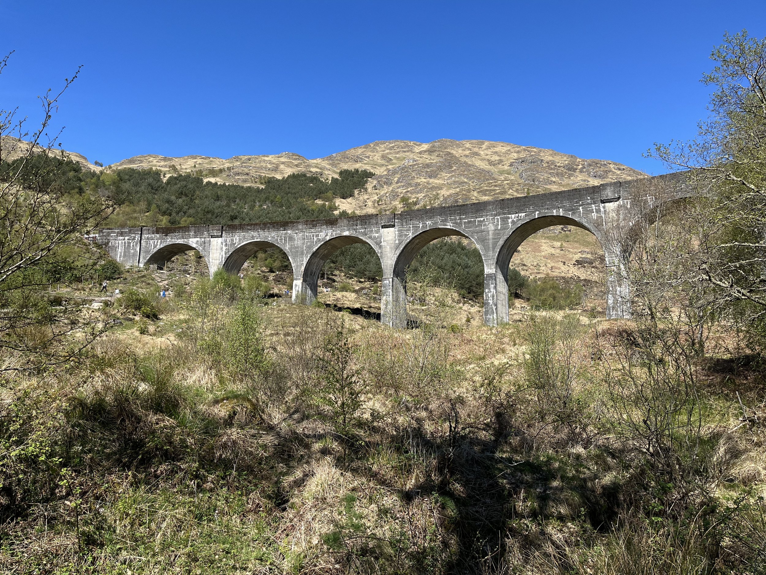 IMG_2296.jpeg