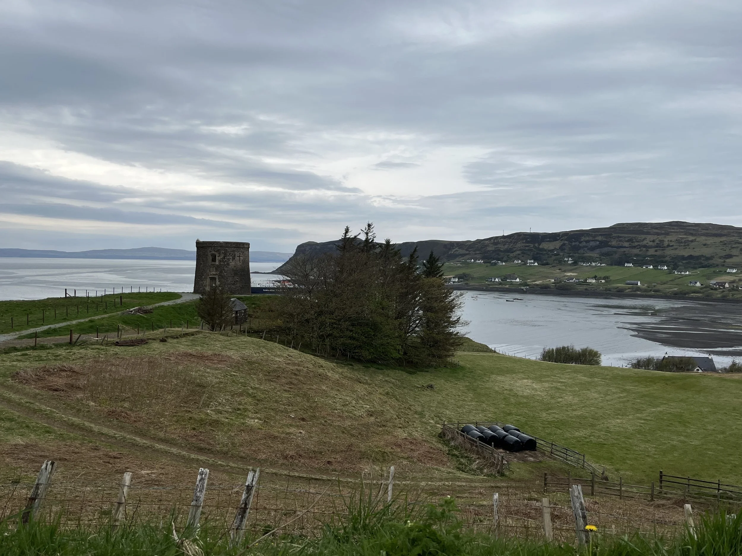 IMG_2460.jpeg