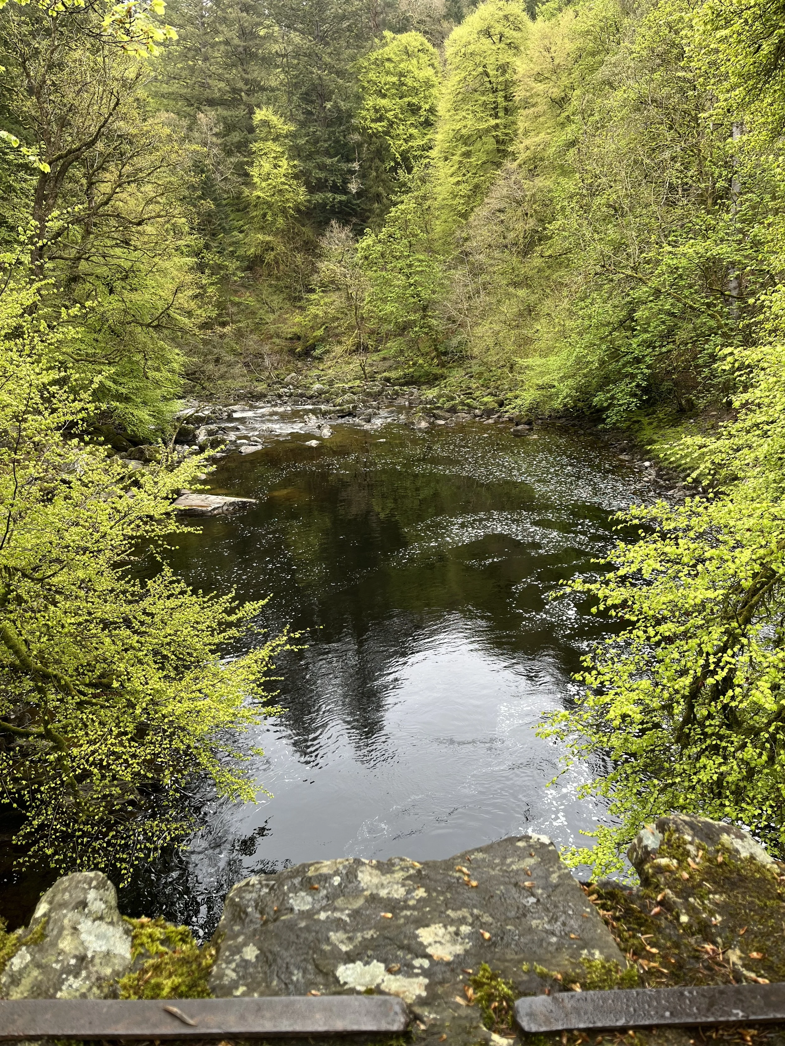 IMG_2569.jpeg