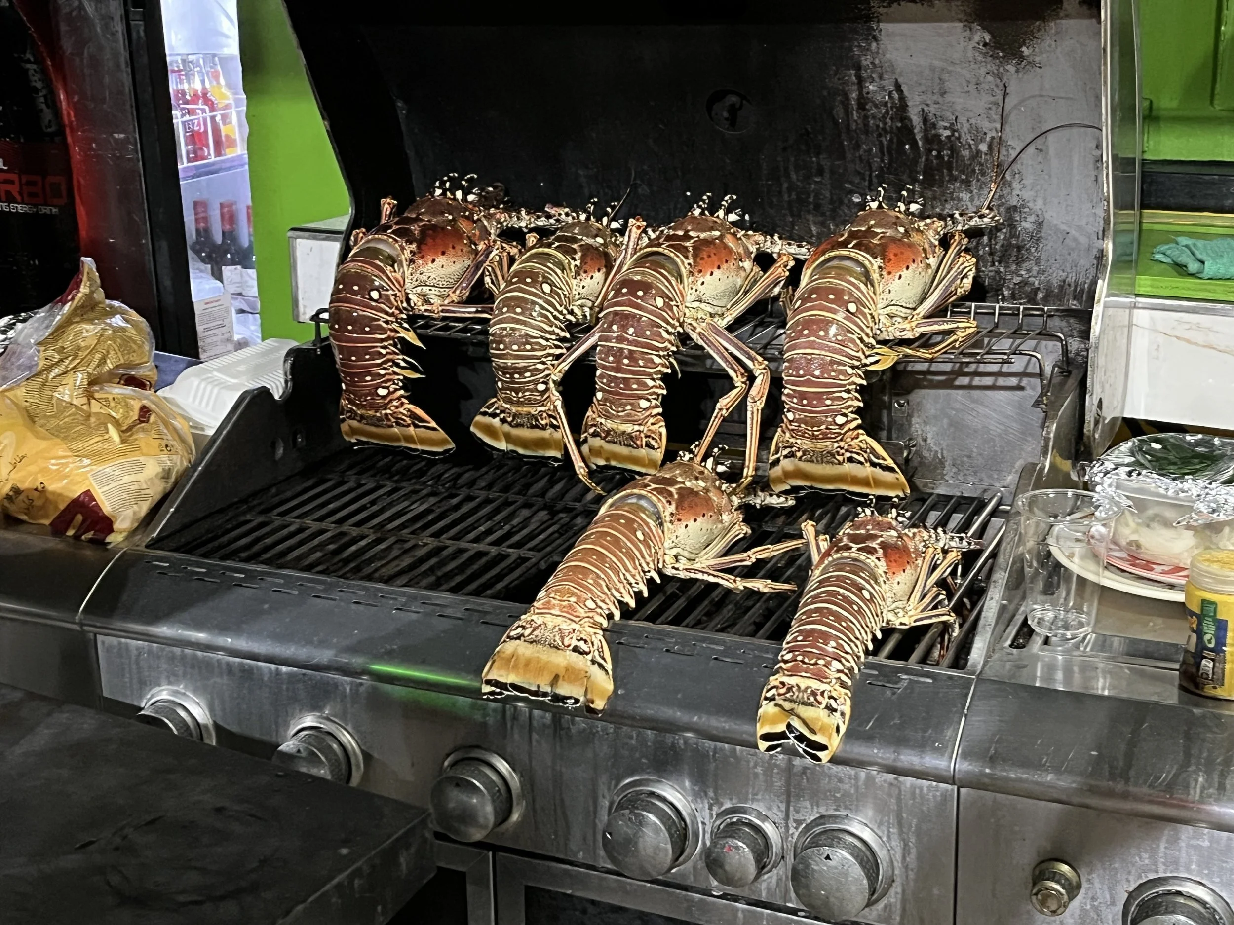 IMG_1851.jpeg