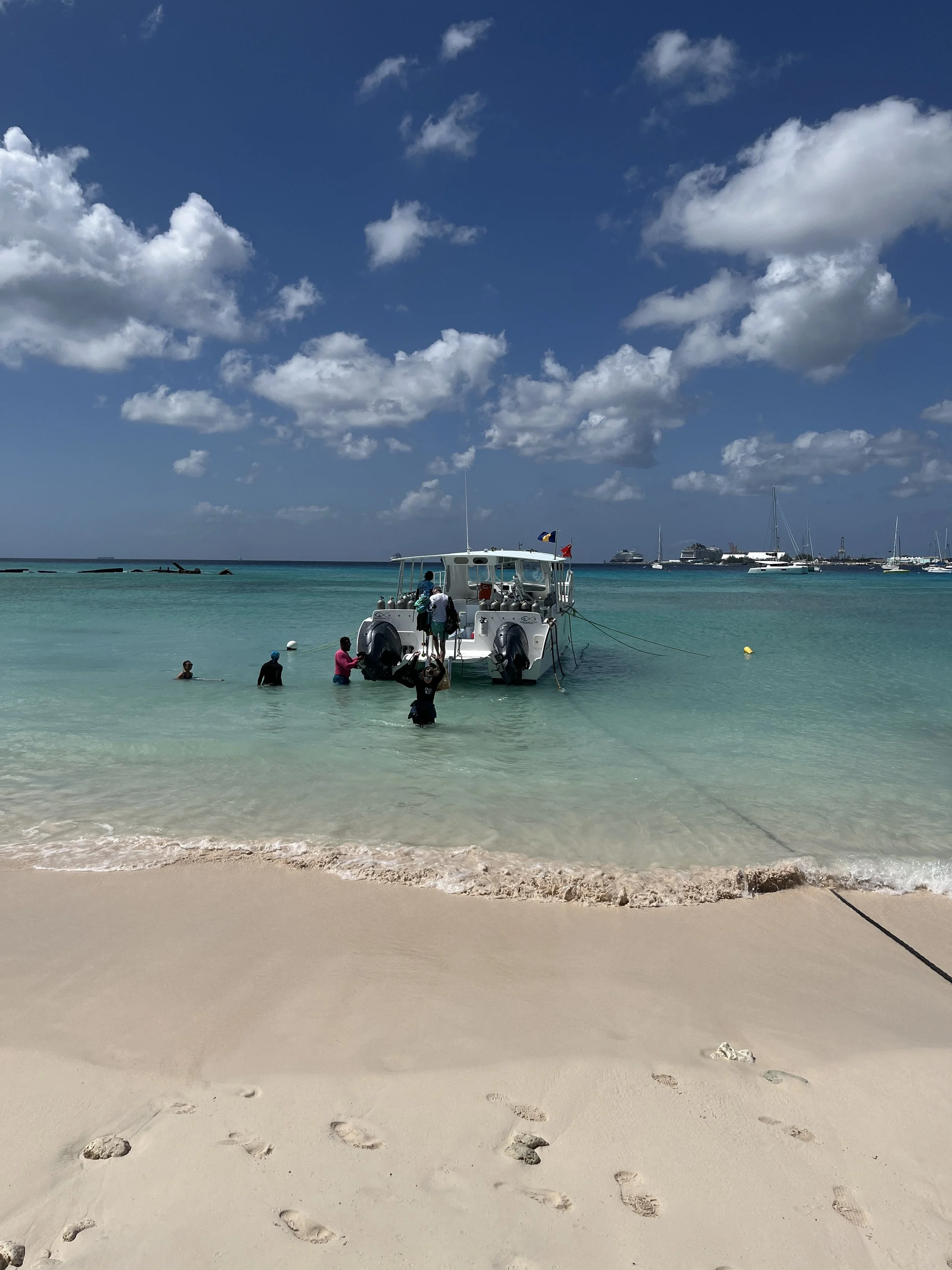 IMG_1994.jpeg