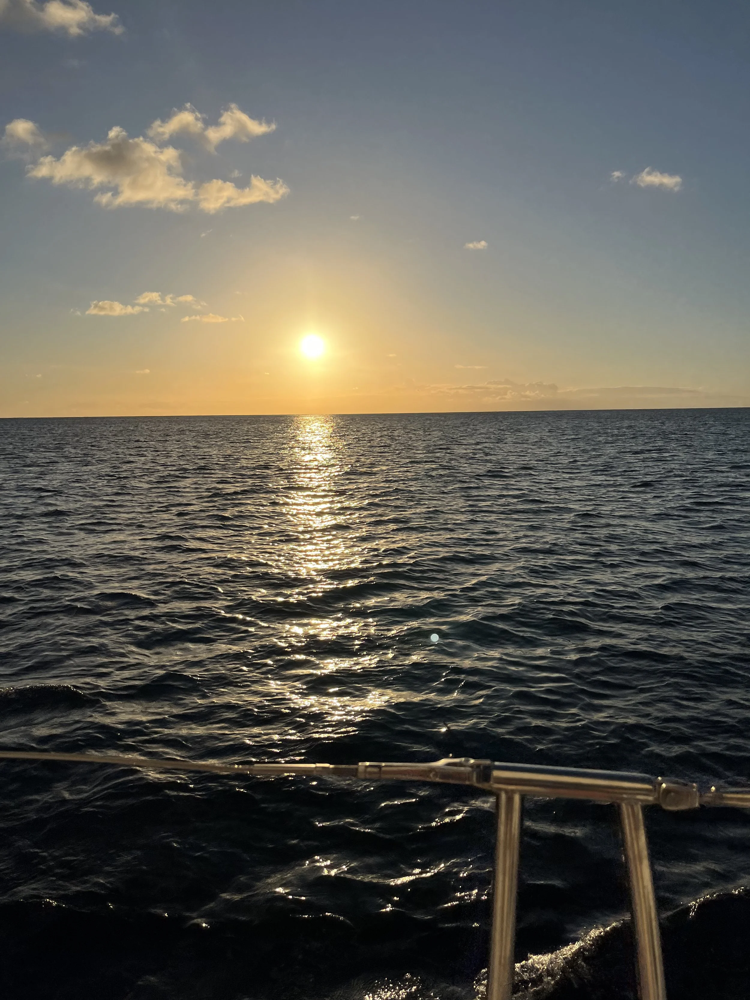IMG_1908.jpeg
