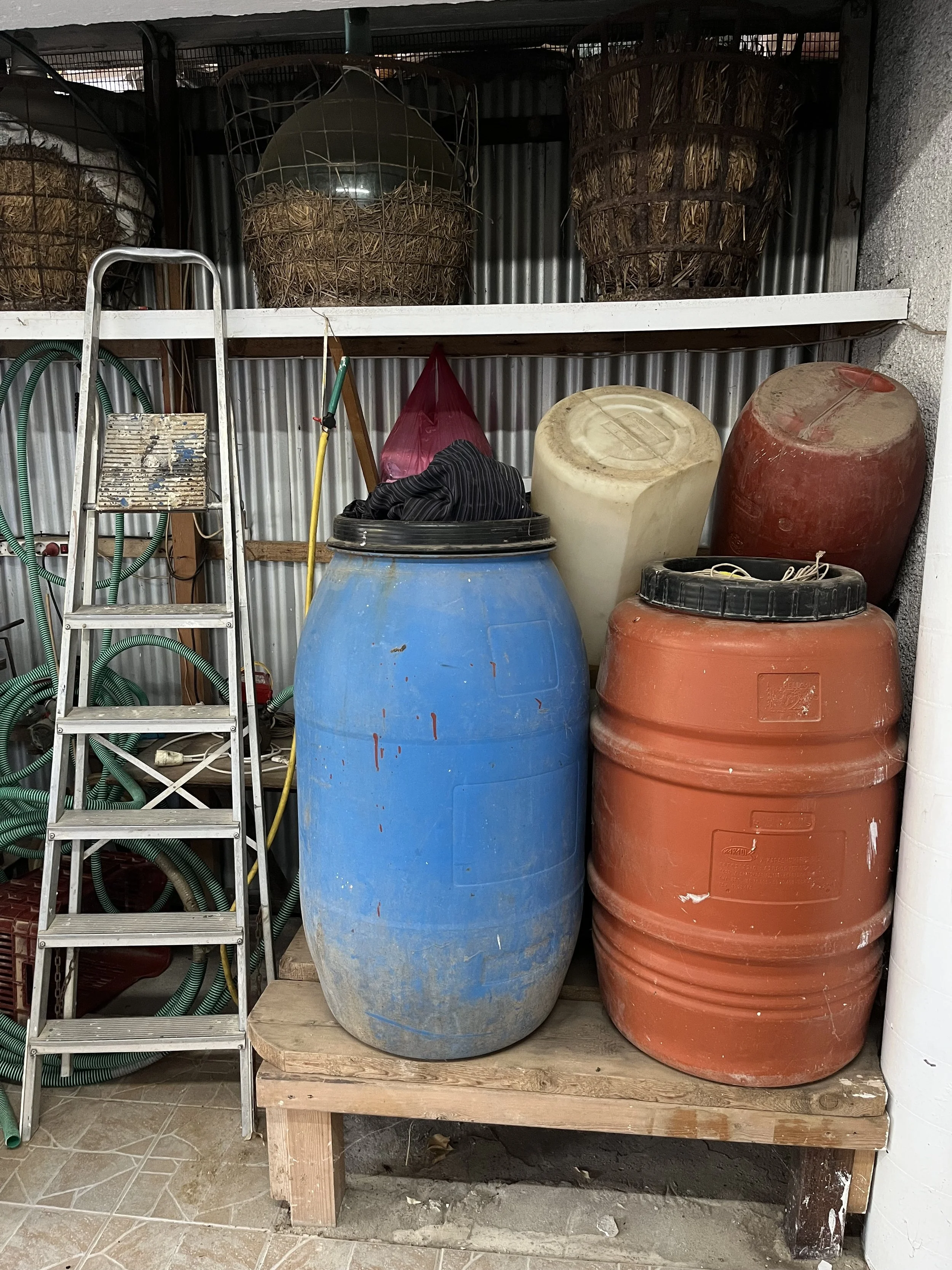 IMG_0934.jpeg