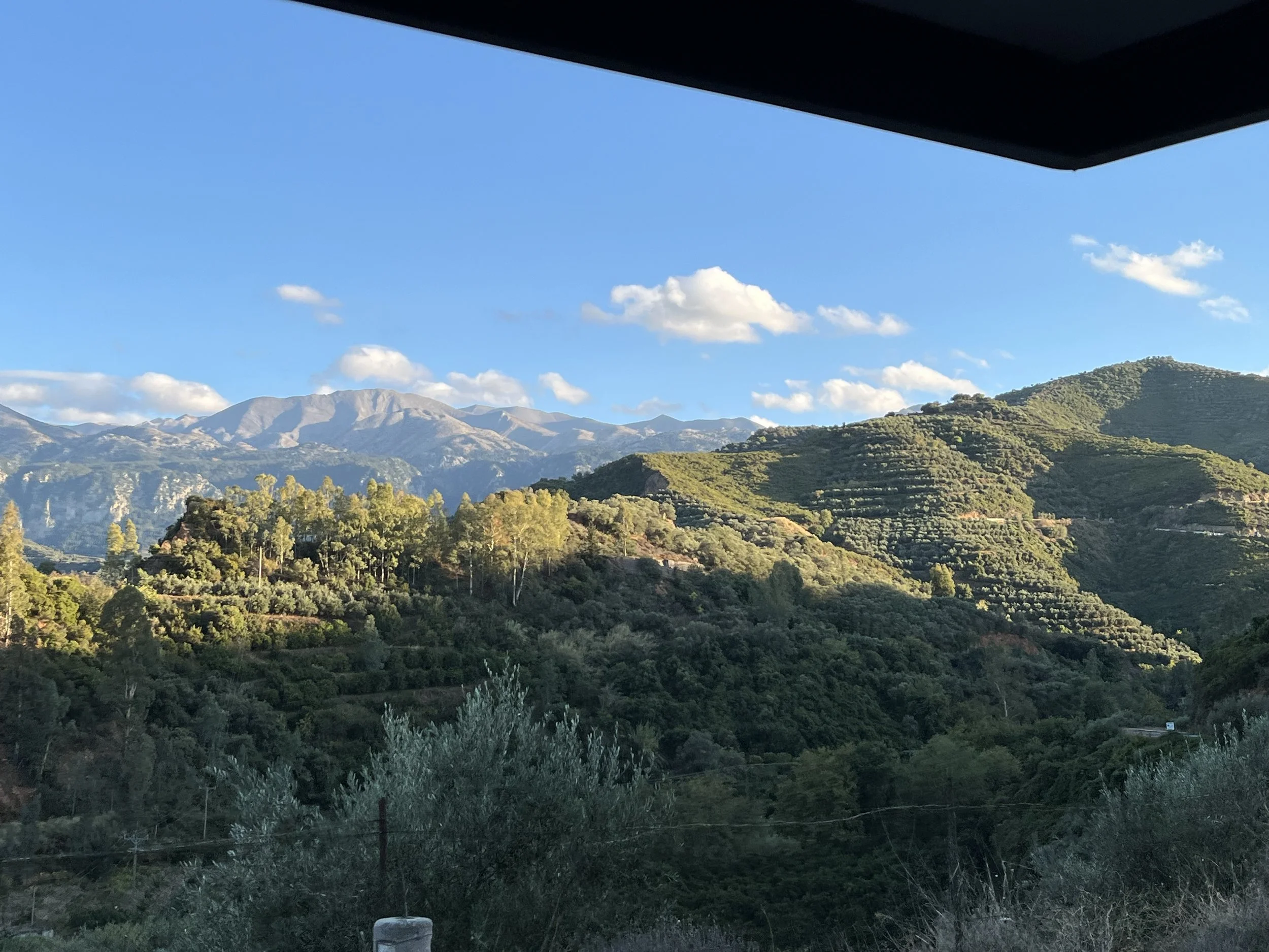 IMG_1232.jpeg