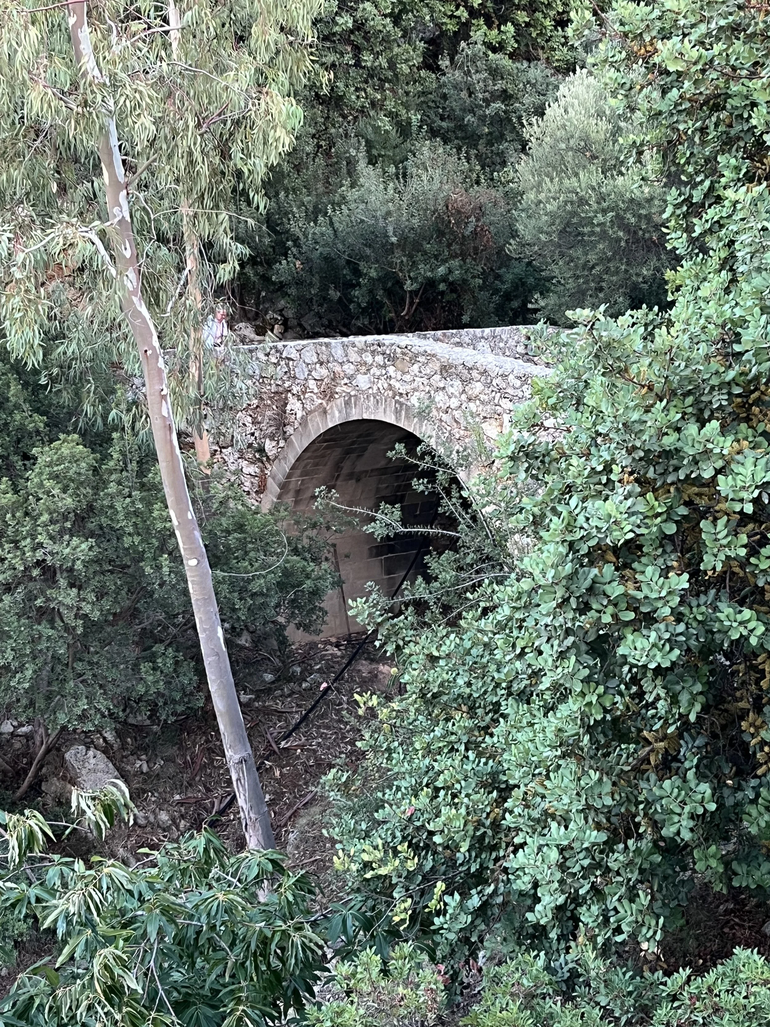 IMG_1370.jpeg