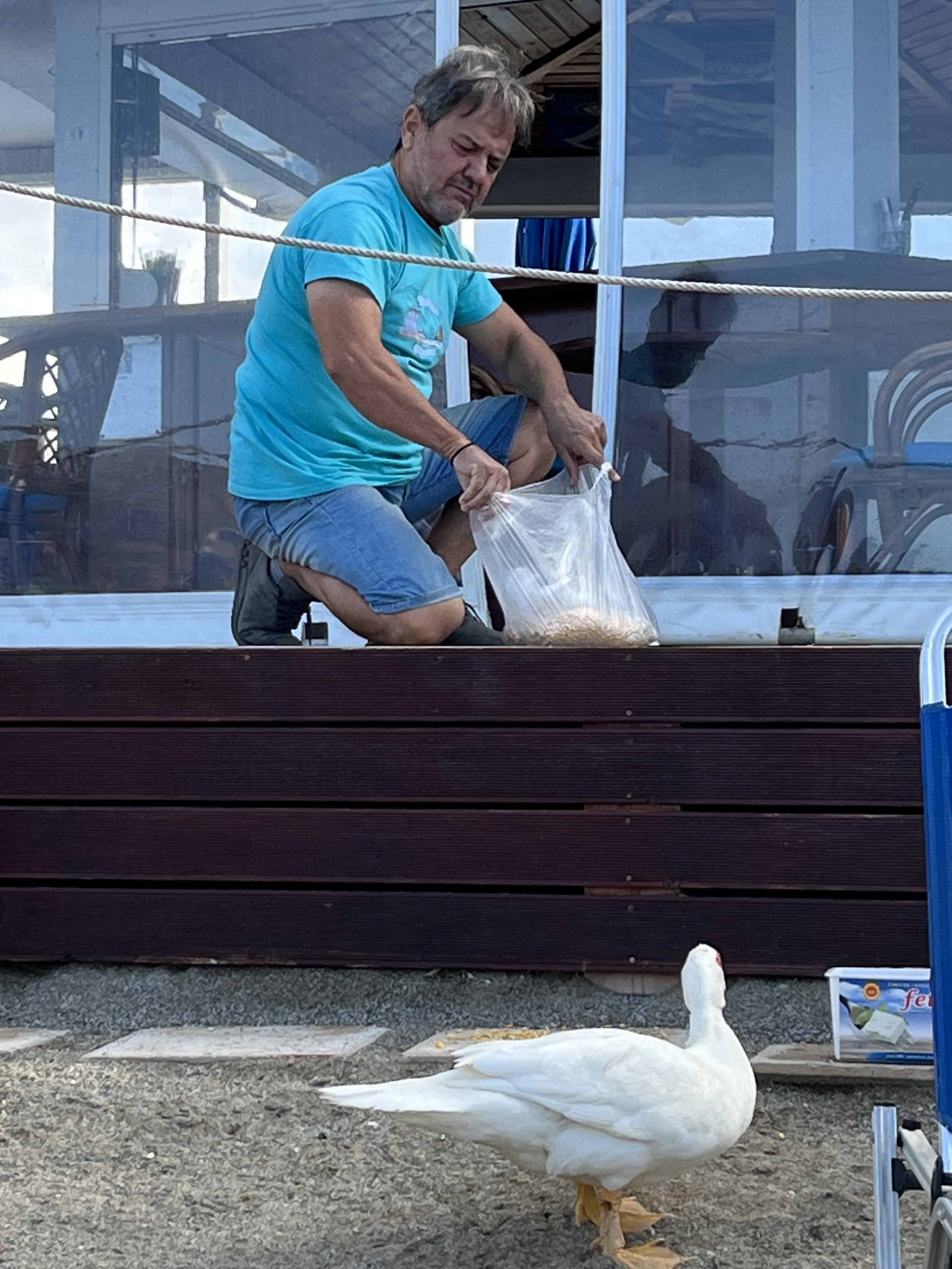 IMG_1263.jpeg