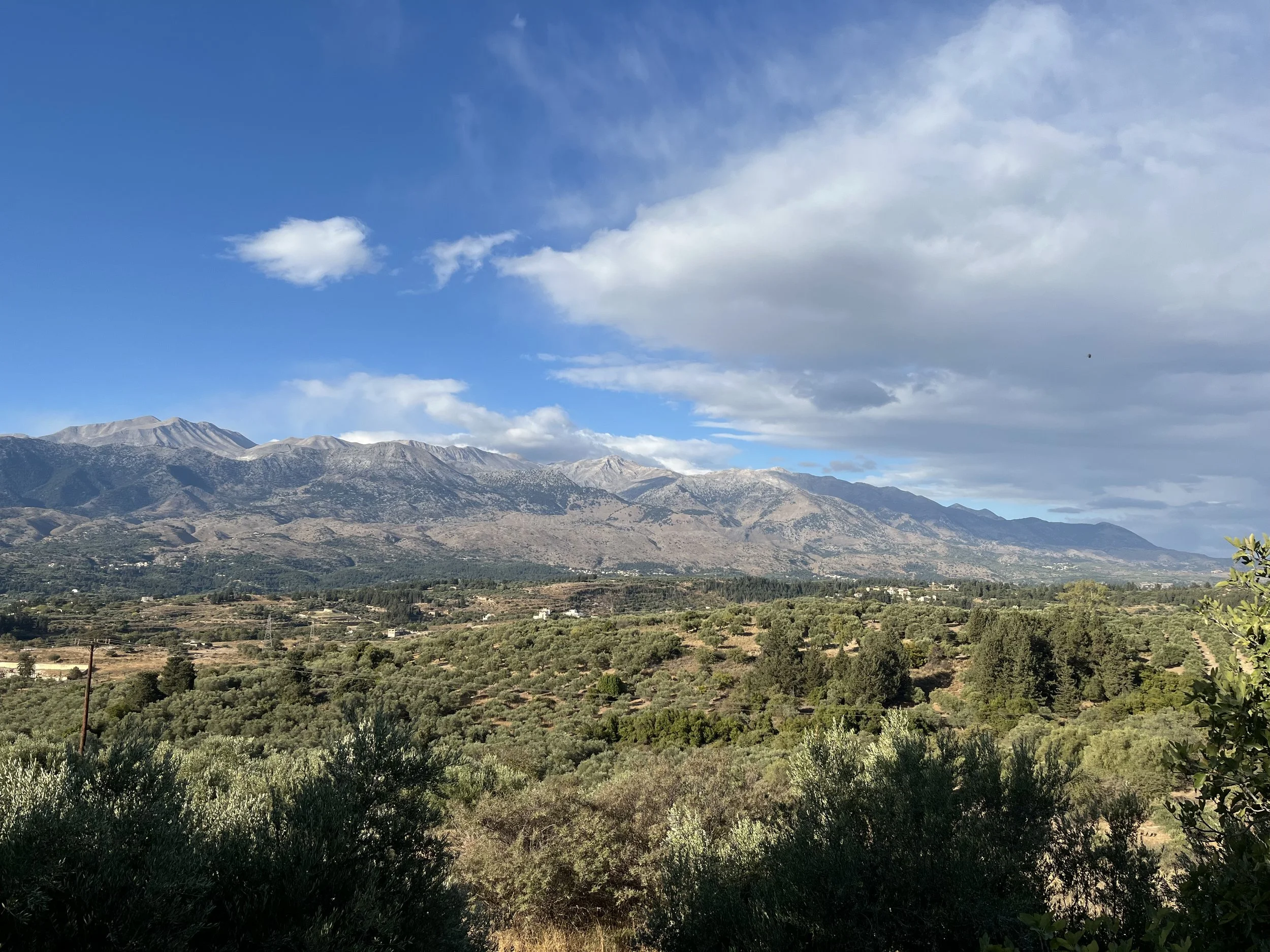 IMG_1005.jpeg