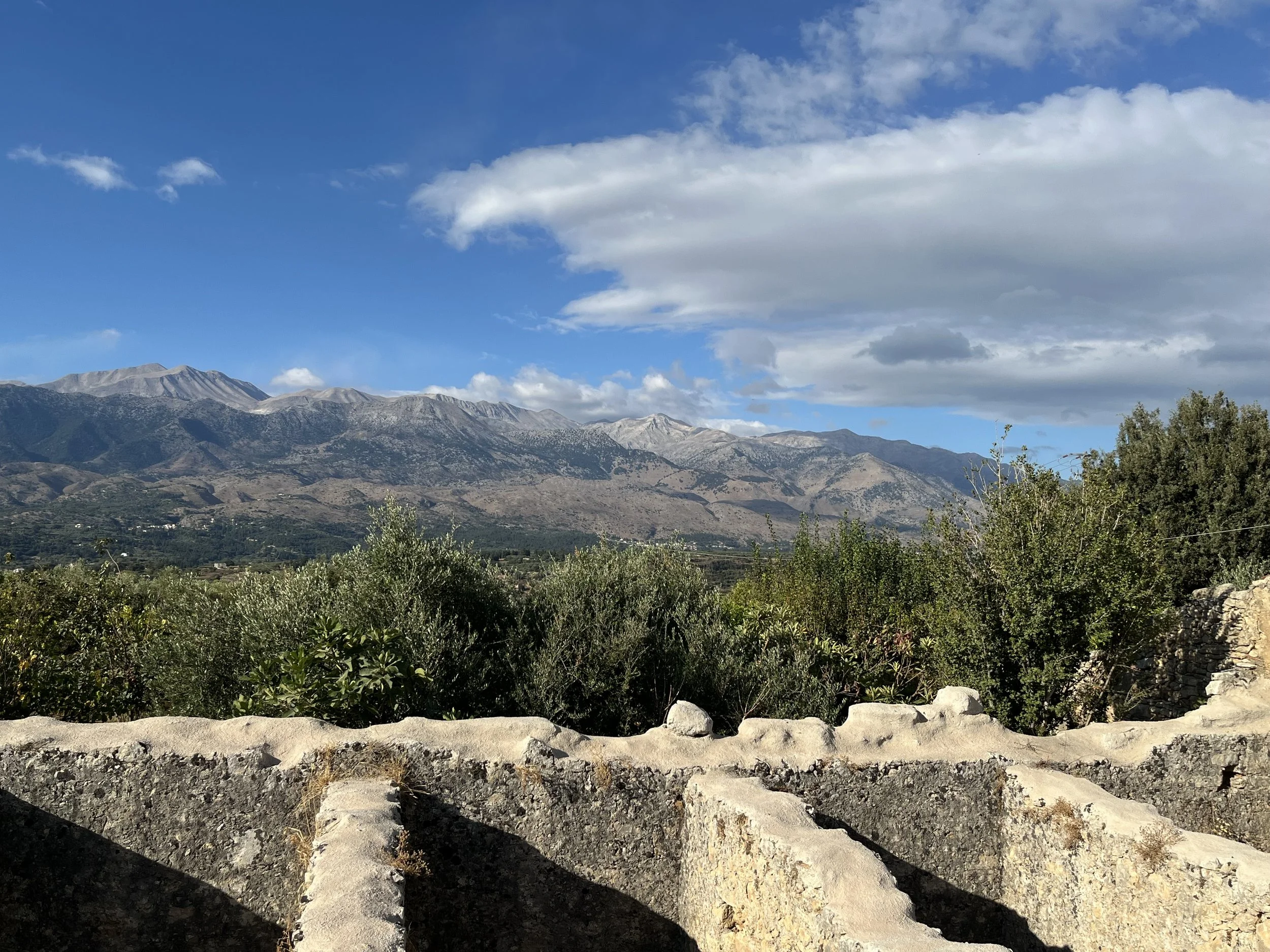 IMG_1020.jpeg
