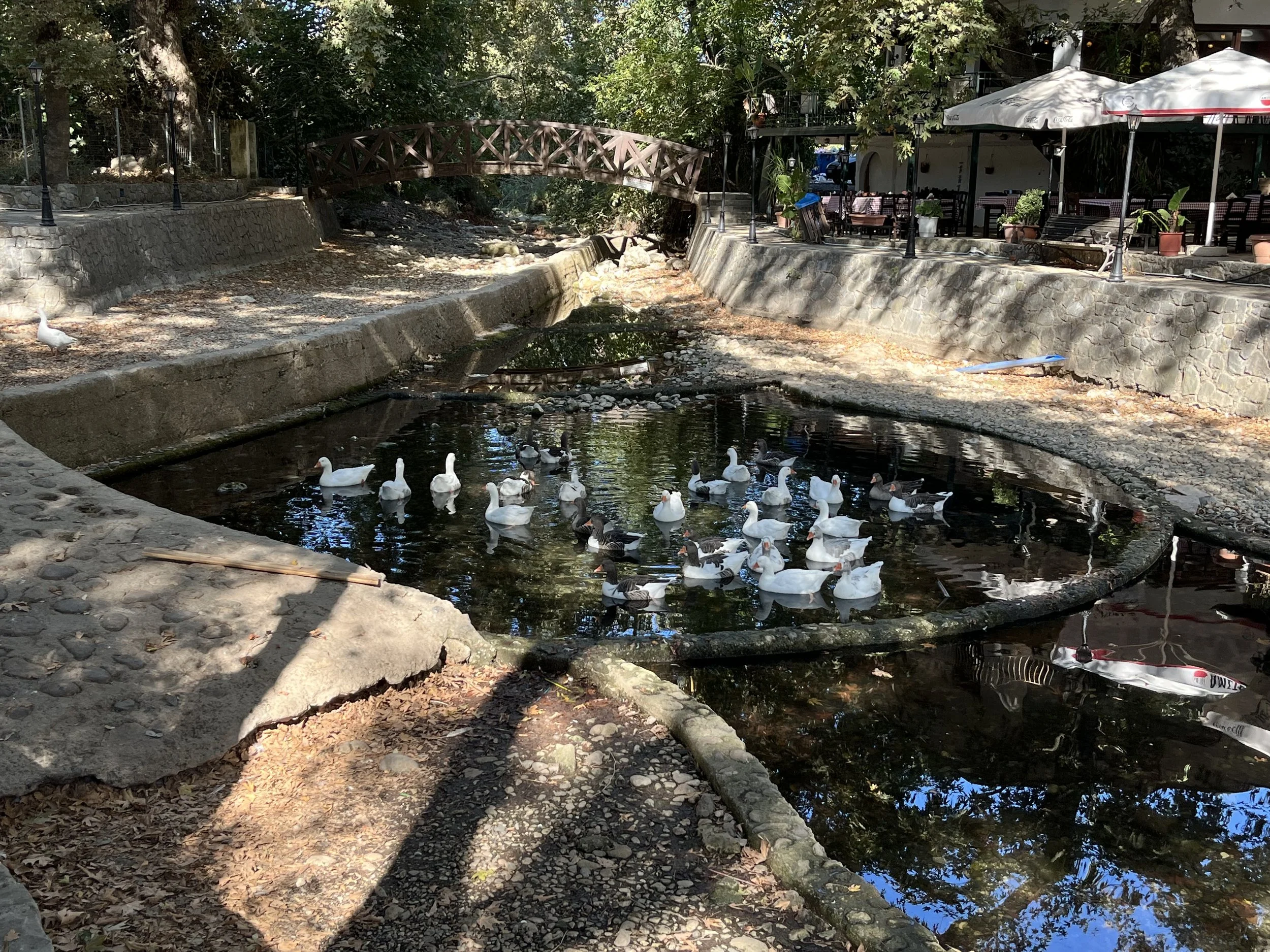 IMG_1055.jpeg