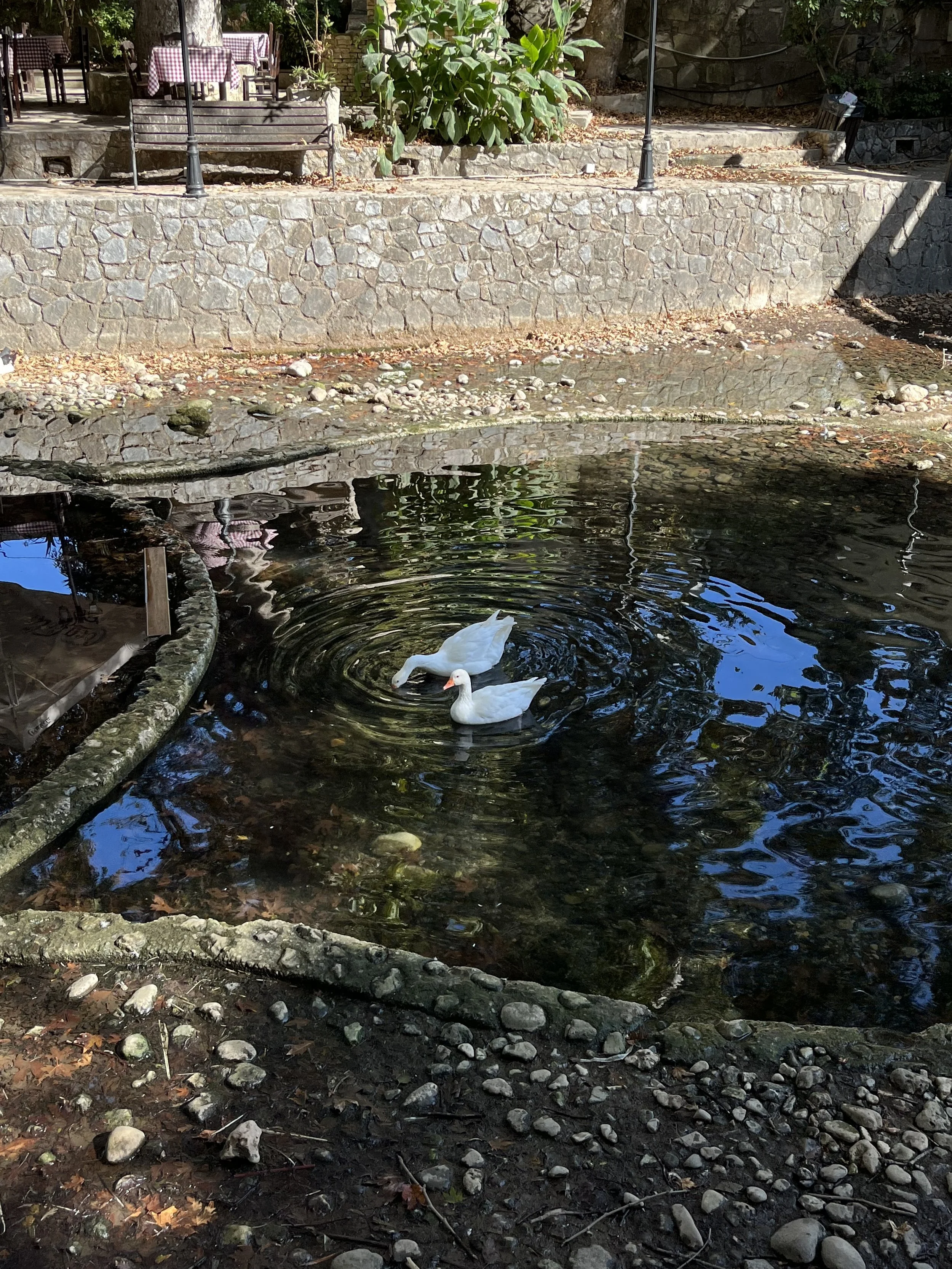 IMG_1056.jpeg